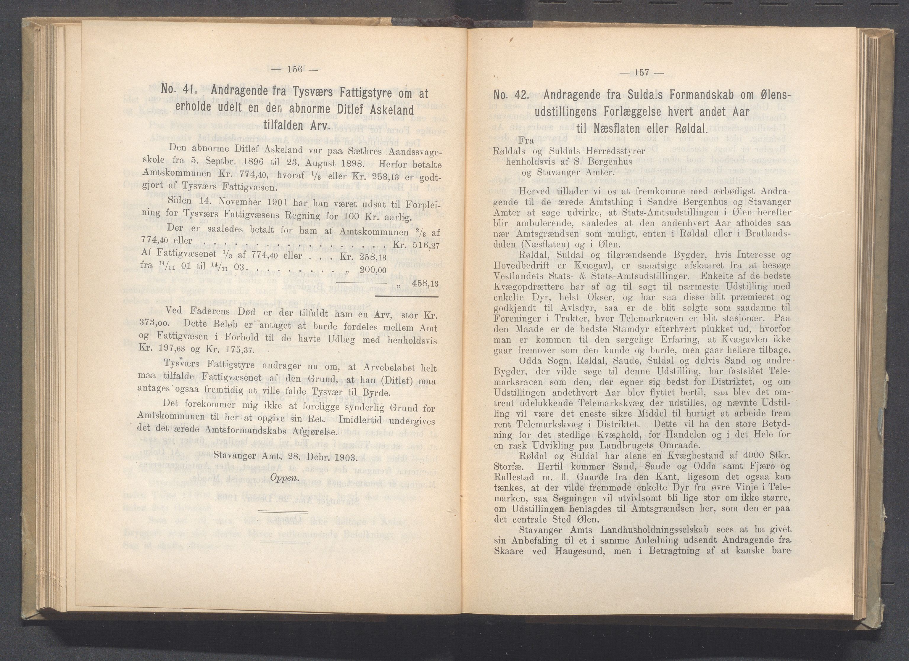 Rogaland fylkeskommune - Fylkesrådmannen , IKAR/A-900/A, 1904, p. 120