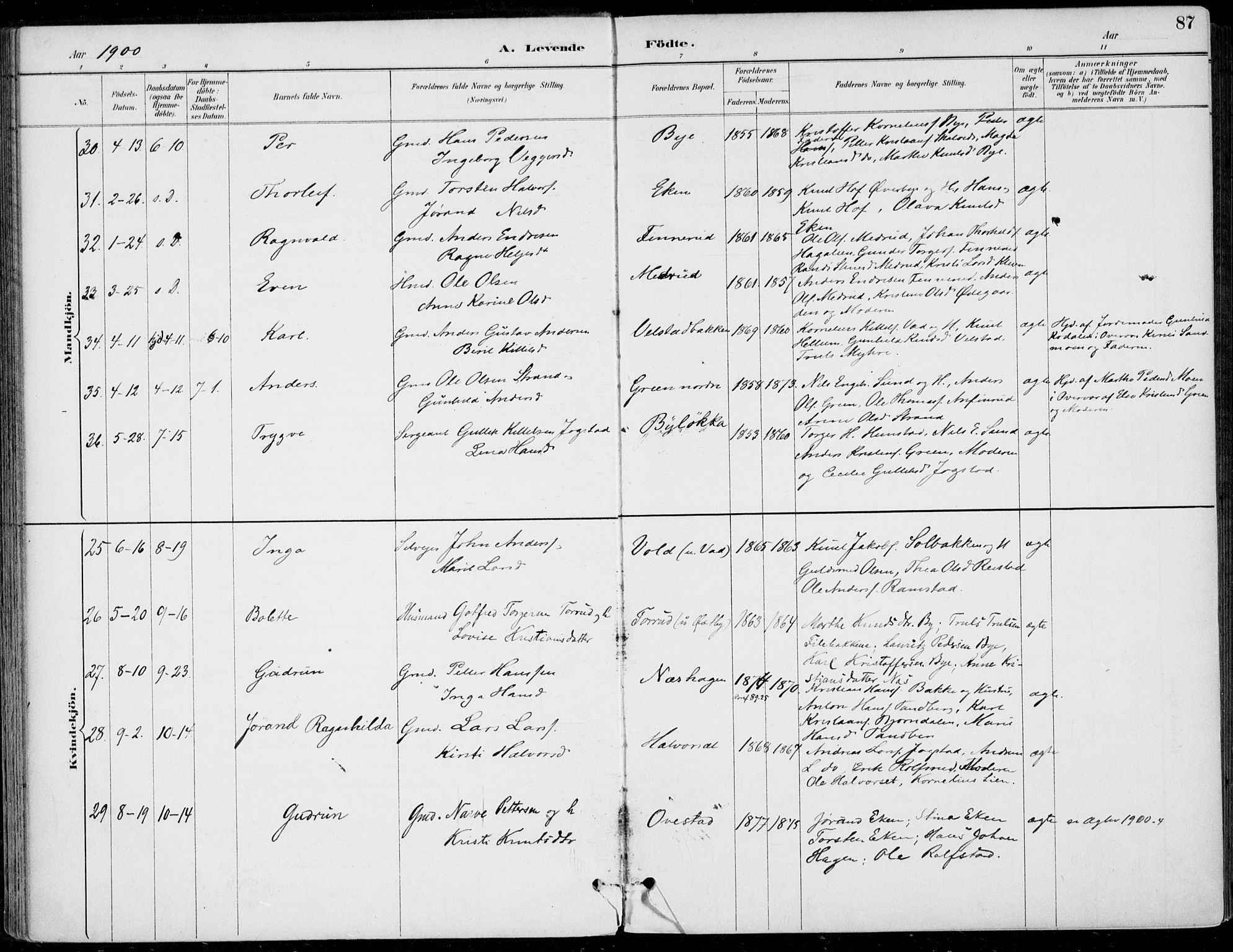 Sigdal kirkebøker, AV/SAKO-A-245/F/Fb/L0001: Parish register (official) no. II 1, 1888-1900, p. 87