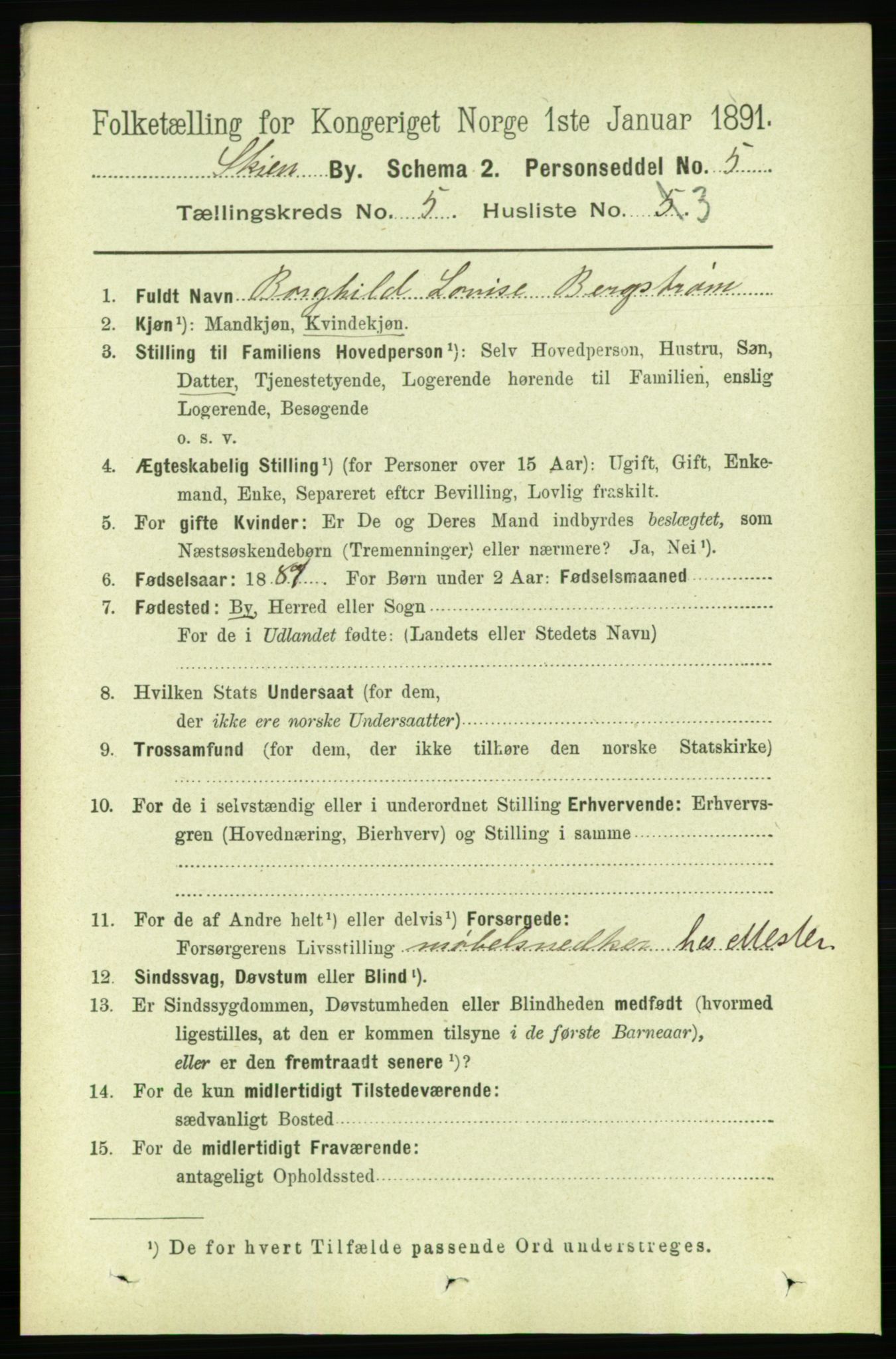 RA, 1891 census for 0806 Skien, 1891, p. 2907