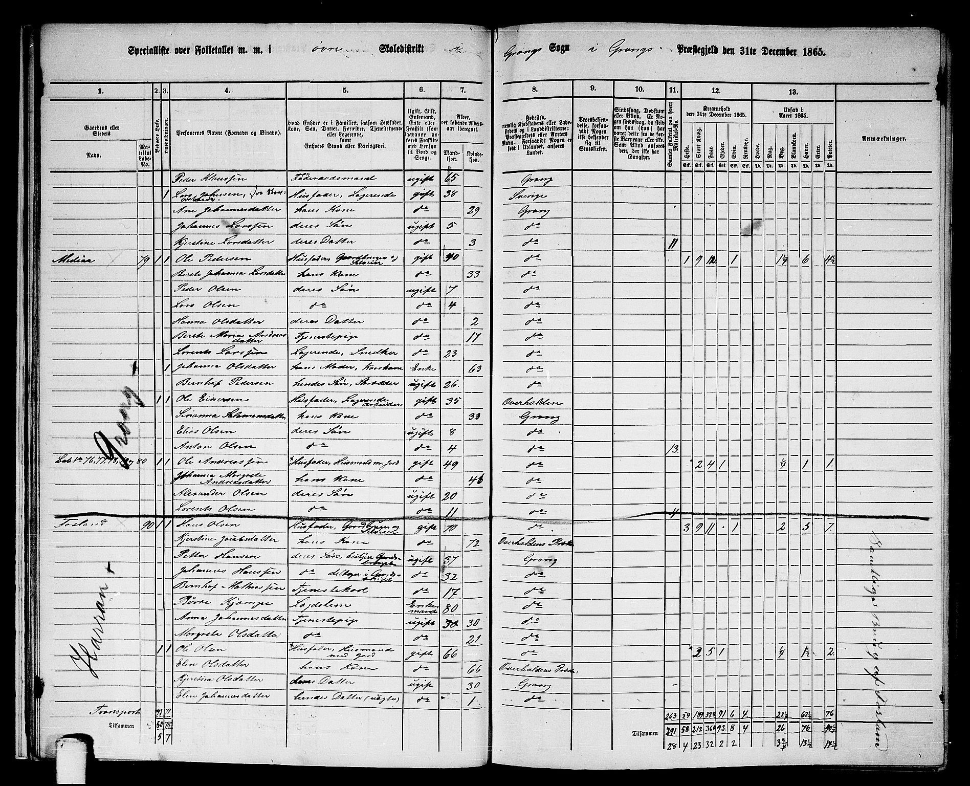 RA, 1865 census for Grong, 1865, p. 22