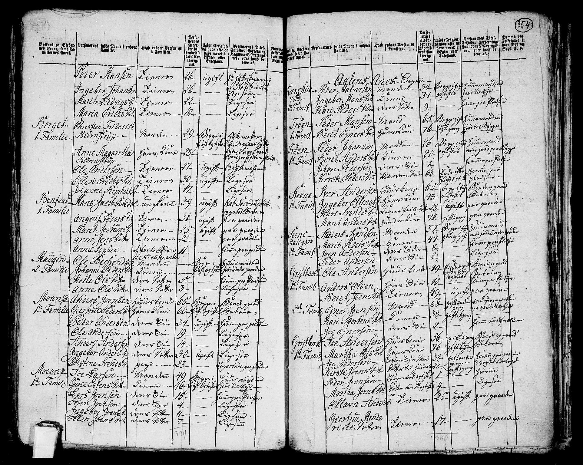 RA, 1801 census for 1645P Haltdalen, 1801, p. 353b-354a