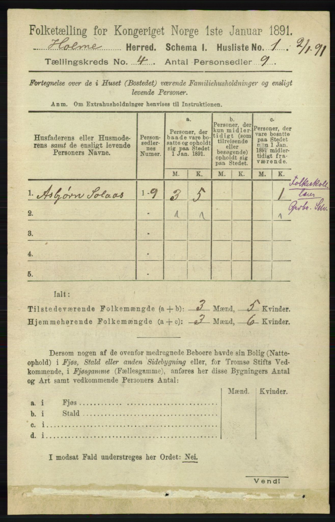 RA, 1891 census for 1020 Holum, 1891, p. 1001