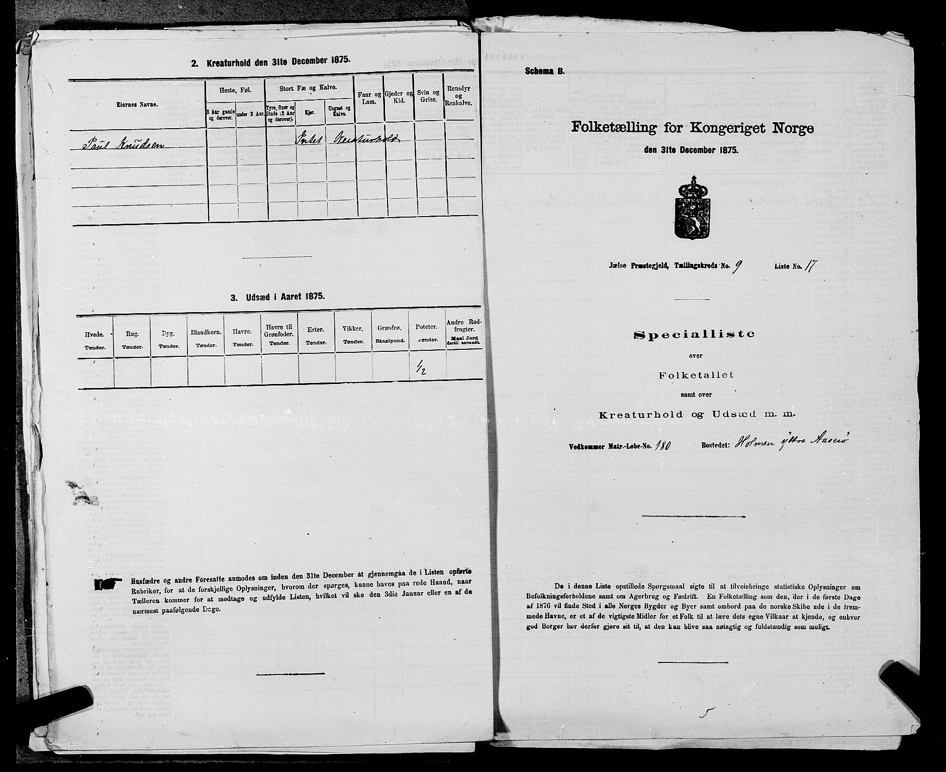 SAST, 1875 census for 1138P Jelsa, 1875, p. 843