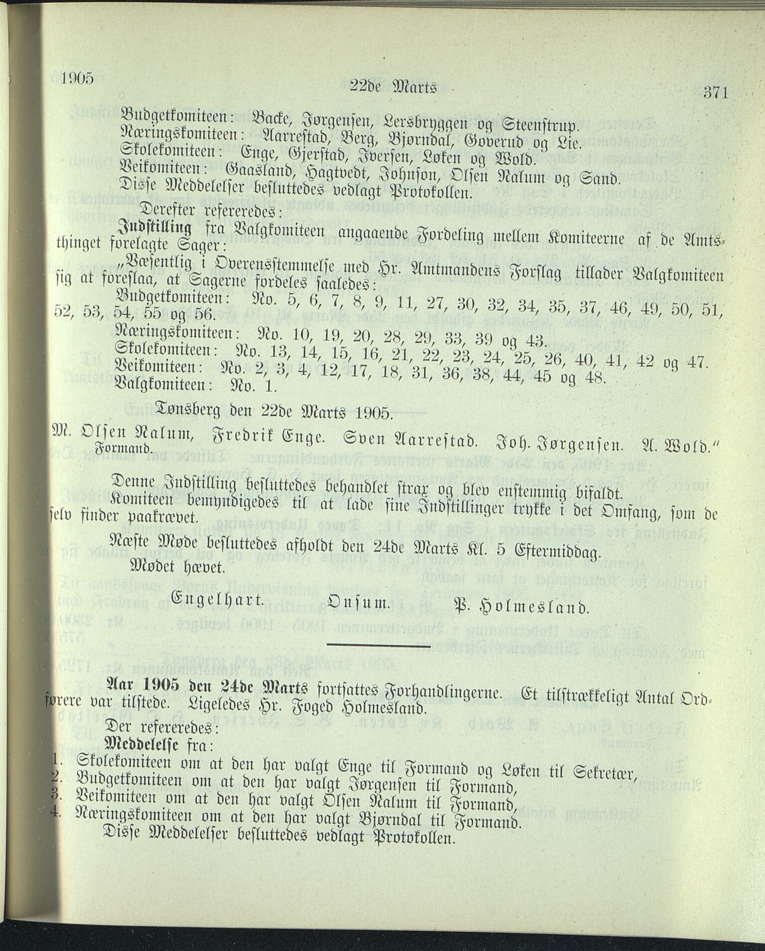 Vestfold fylkeskommune. Fylkestinget, VEMU/A-1315/A/Ab/Abb/L0052: Fylkestingsforhandlinger, 1905, p. 371