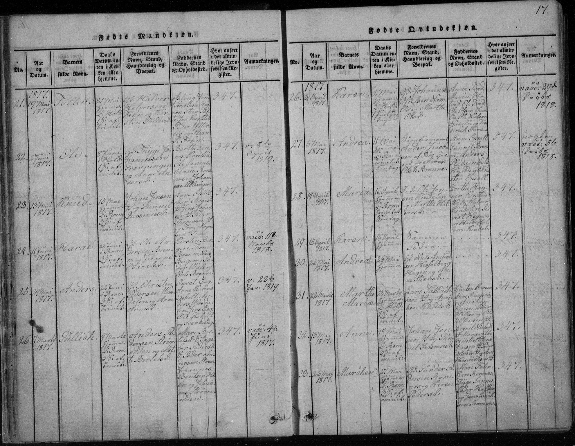 Holla kirkebøker, SAKO/A-272/F/Fa/L0003: Parish register (official) no. 3, 1815-1830, p. 17