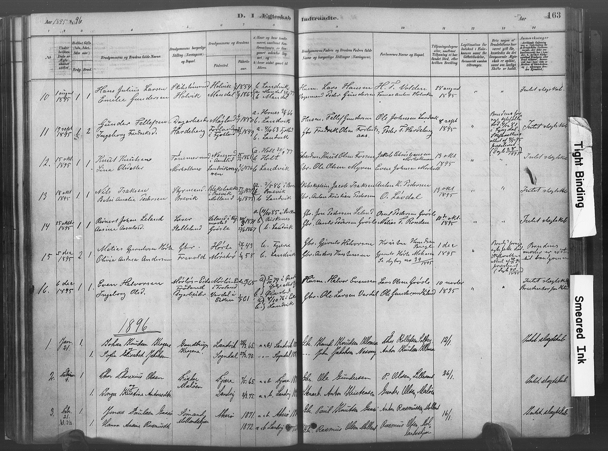 Hommedal sokneprestkontor, SAK/1111-0023/F/Fa/Fab/L0006: Parish register (official) no. A 6, 1878-1897, p. 163