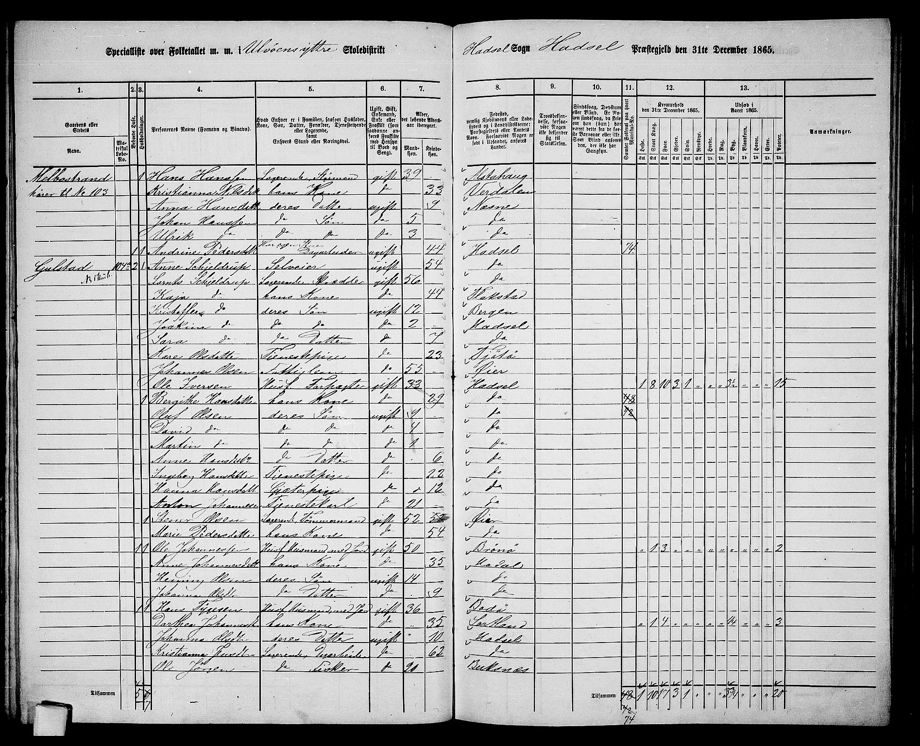 RA, 1865 census for Hadsel, 1865, p. 101