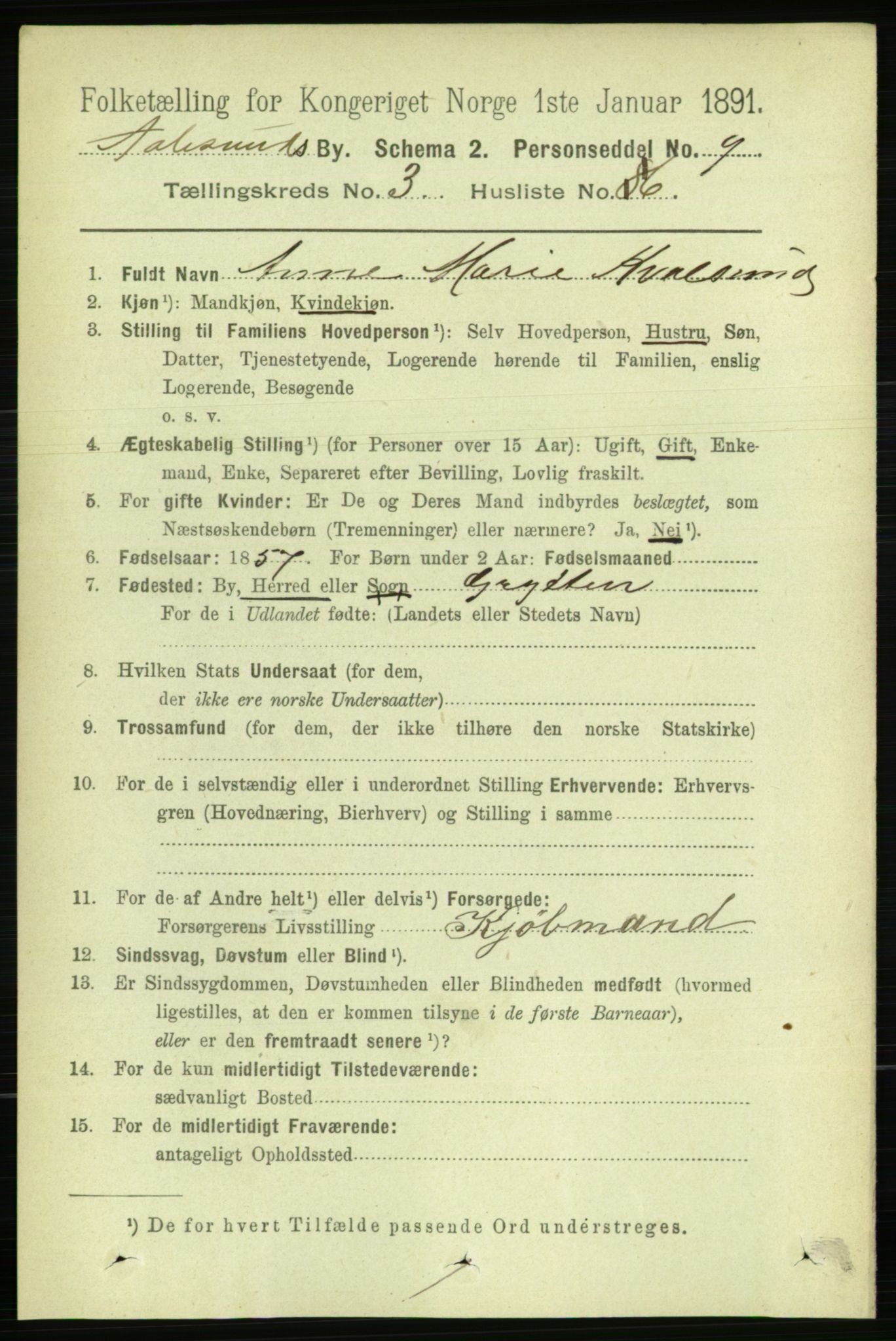 RA, 1891 census for 1501 Ålesund, 1891, p. 2333