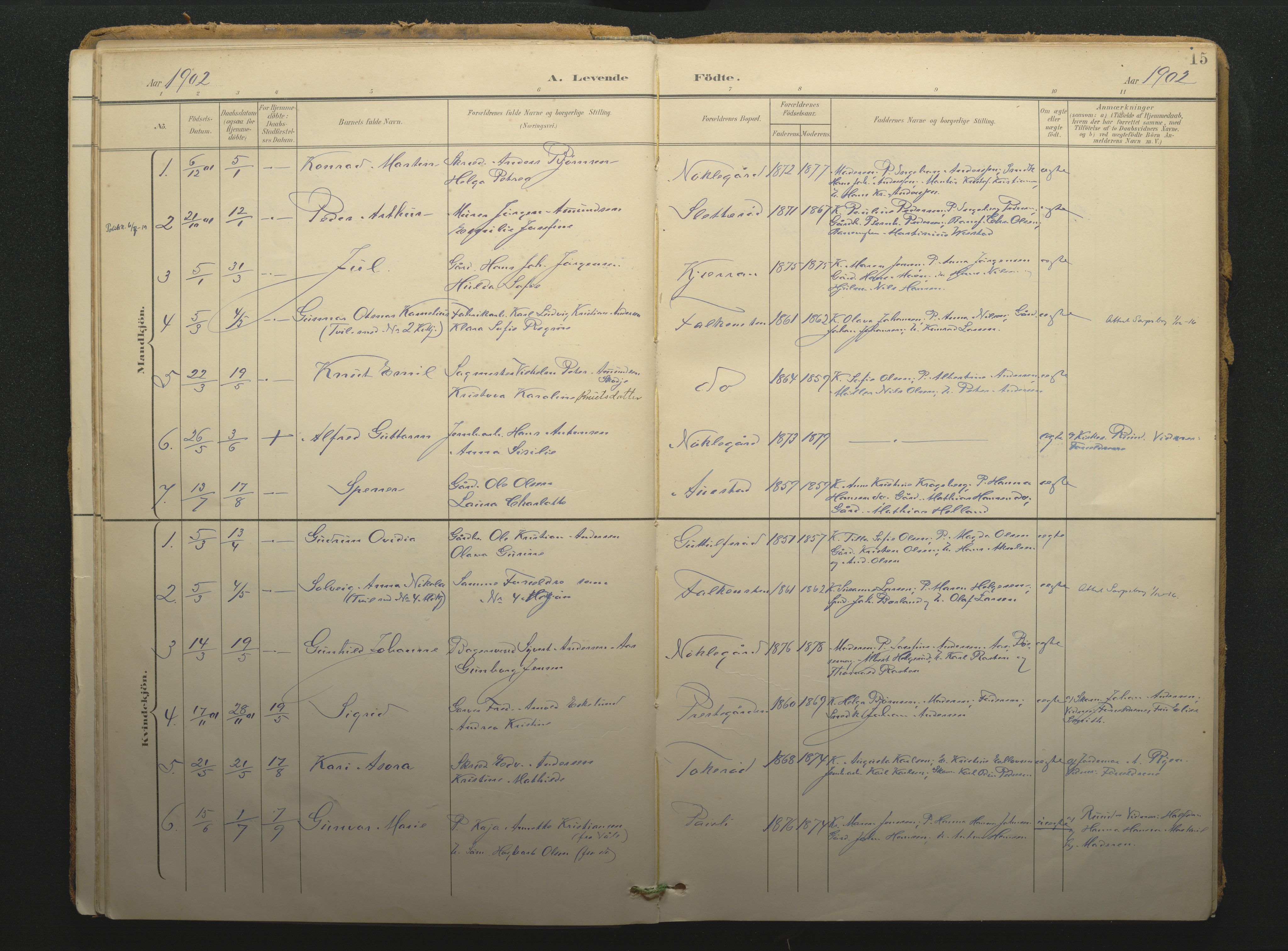 Borre kirkebøker, AV/SAKO-A-338/F/Fc/L0003: Parish register (official) no. III 3, 1896-1919, p. 15