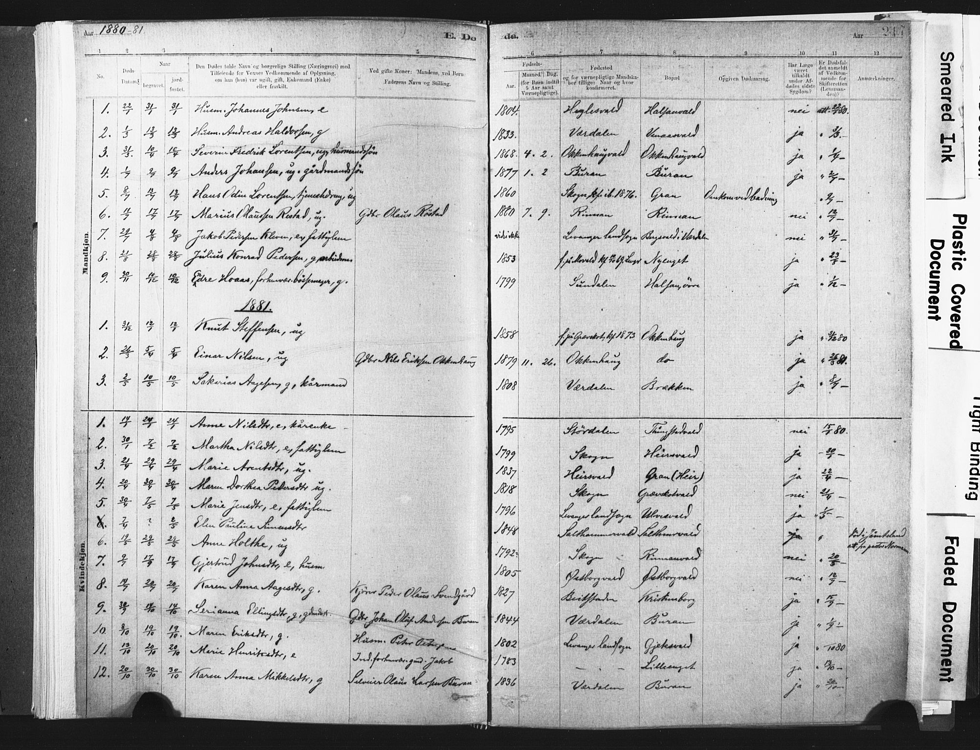 Ministerialprotokoller, klokkerbøker og fødselsregistre - Nord-Trøndelag, SAT/A-1458/721/L0207: Parish register (official) no. 721A02, 1880-1911, p. 217