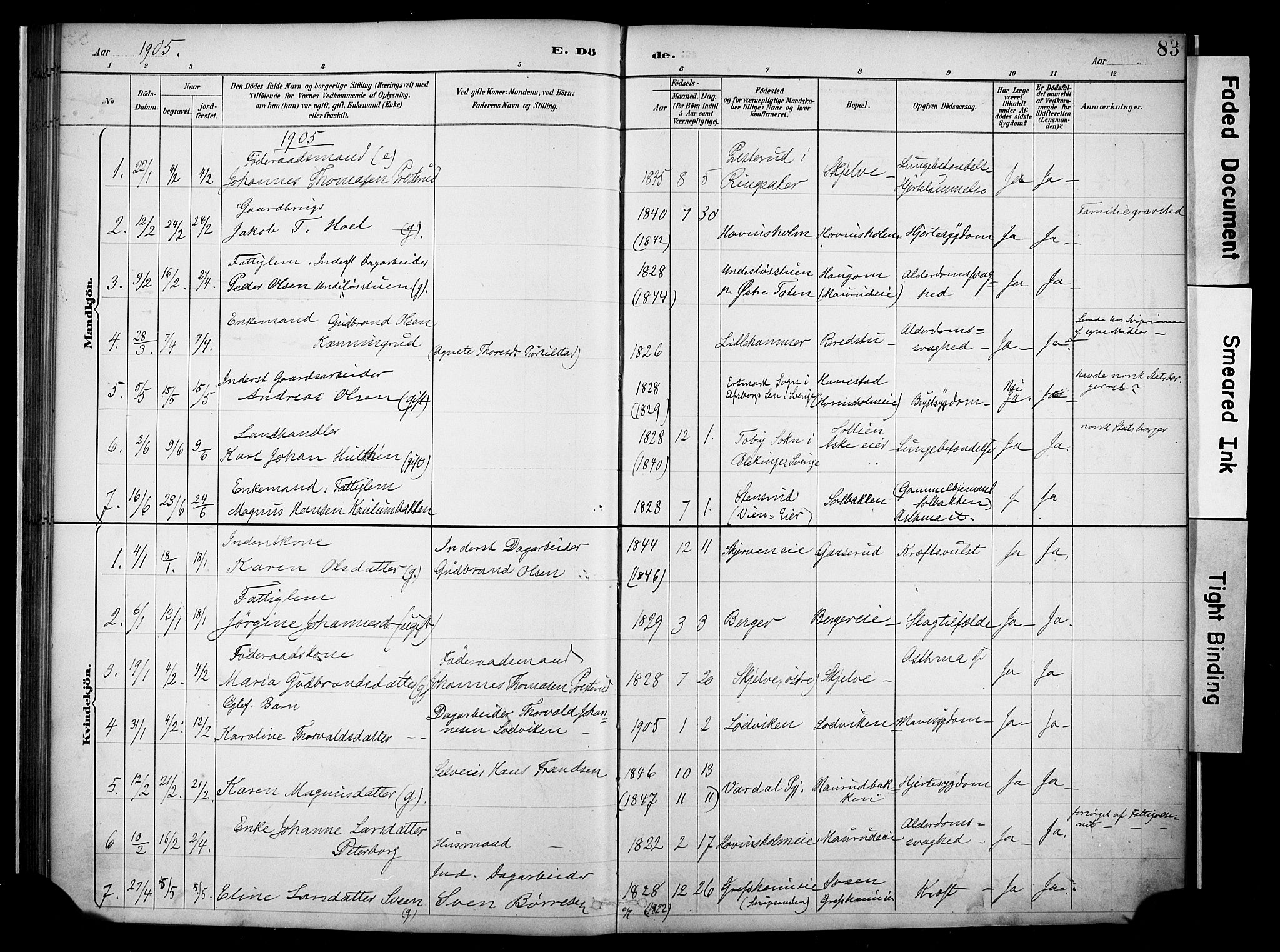 Nes prestekontor, Hedmark, AV/SAH-PREST-020/K/Ka/L0011: Parish register (official) no. 11, 1887-1905, p. 83