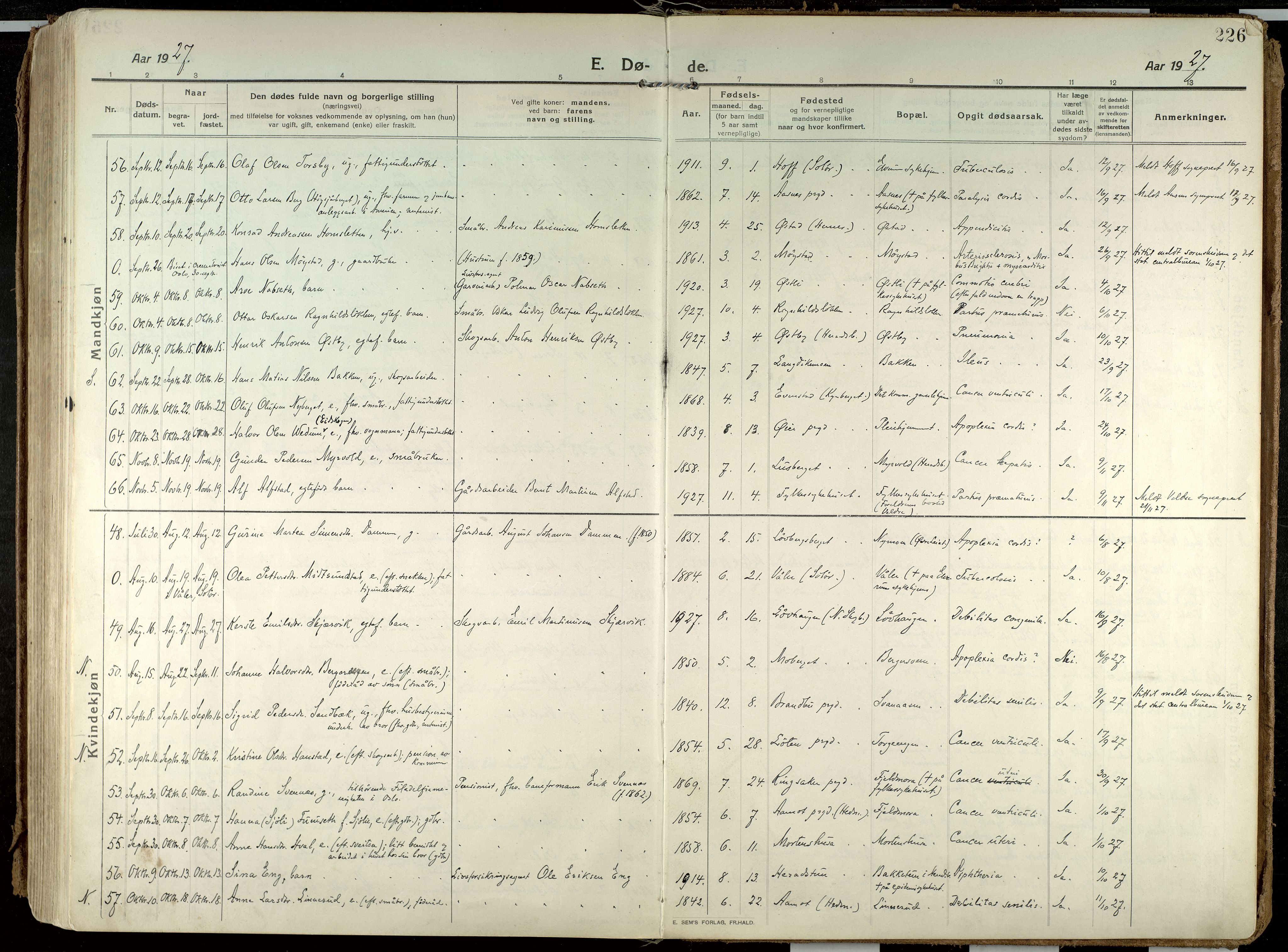 Elverum prestekontor, AV/SAH-PREST-044/H/Ha/Haa/L0021: Parish register (official) no. 21, 1913-1928, p. 226