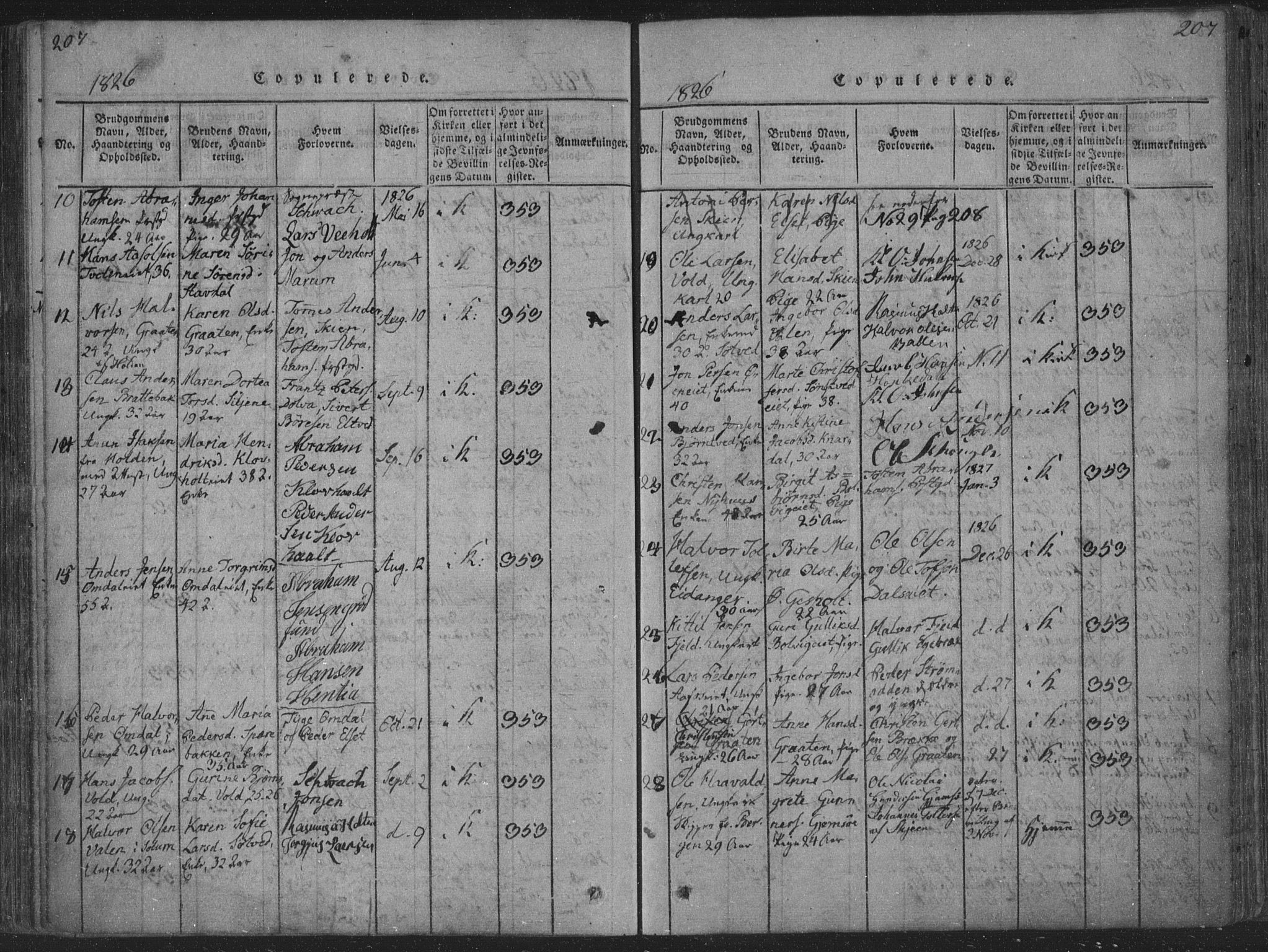 Solum kirkebøker, SAKO/A-306/F/Fa/L0004: Parish register (official) no. I 4, 1814-1833, p. 207