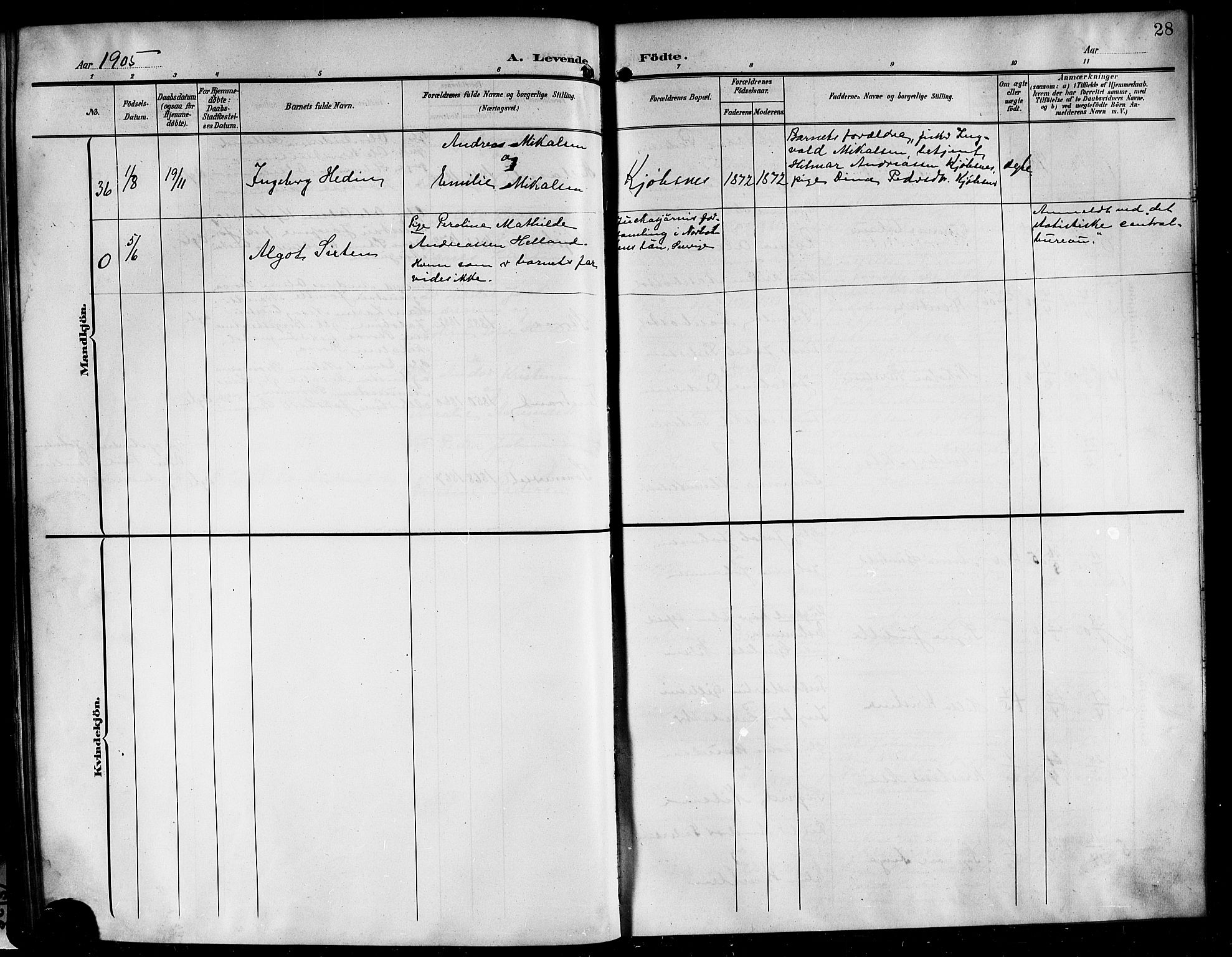 Ministerialprotokoller, klokkerbøker og fødselsregistre - Nordland, AV/SAT-A-1459/861/L0877: Parish register (copy) no. 861C03, 1903-1919, p. 28