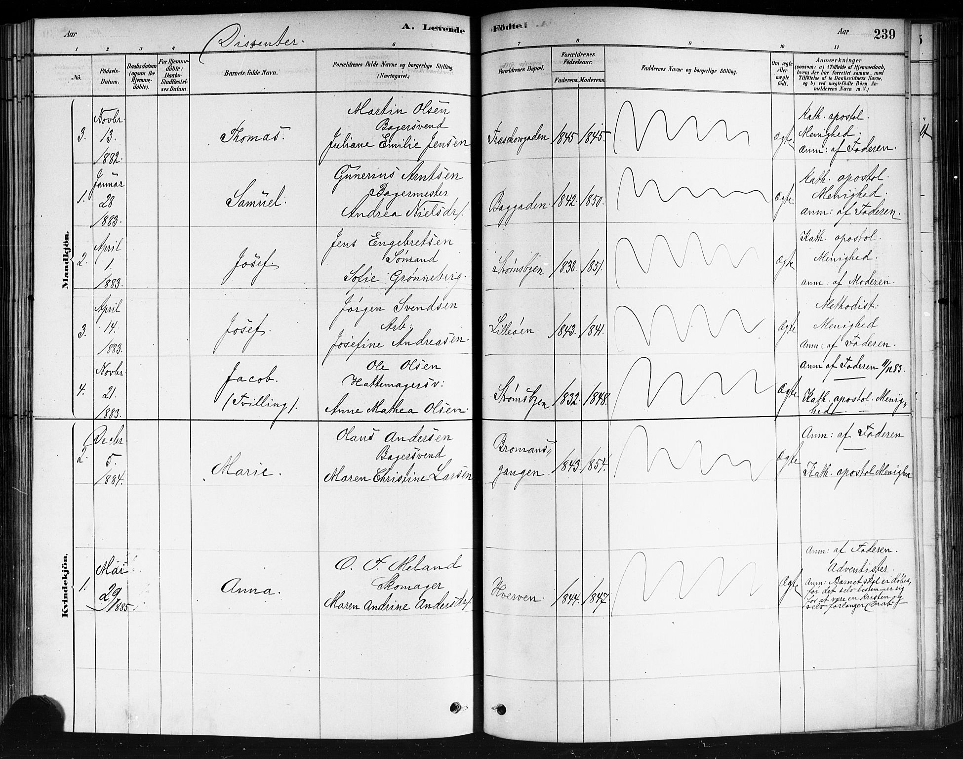 Strømsø kirkebøker, AV/SAKO-A-246/F/Fa/L0021: Parish register (official) no. I 21, 1878-1885, p. 239