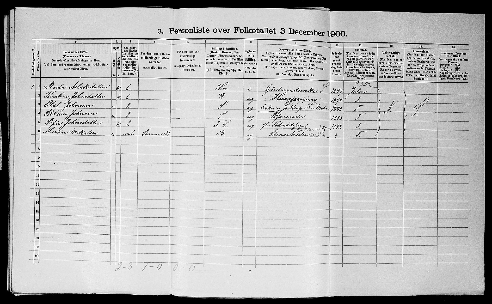 SAST, 1900 census for Haaland, 1900, p. 1100