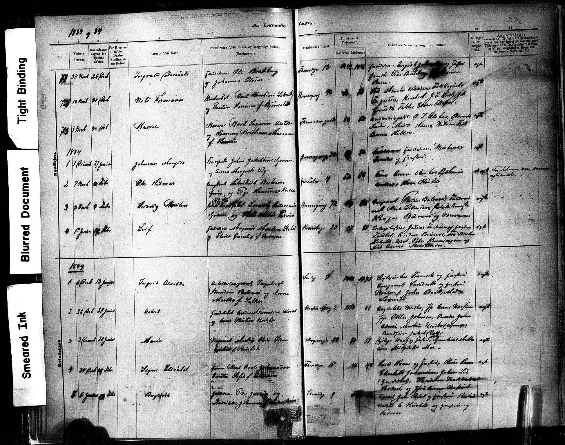 Ministerialprotokoller, klokkerbøker og fødselsregistre - Sør-Trøndelag, SAT/A-1456/602/L0119: Parish register (official) no. 602A17, 1880-1901, p. 39