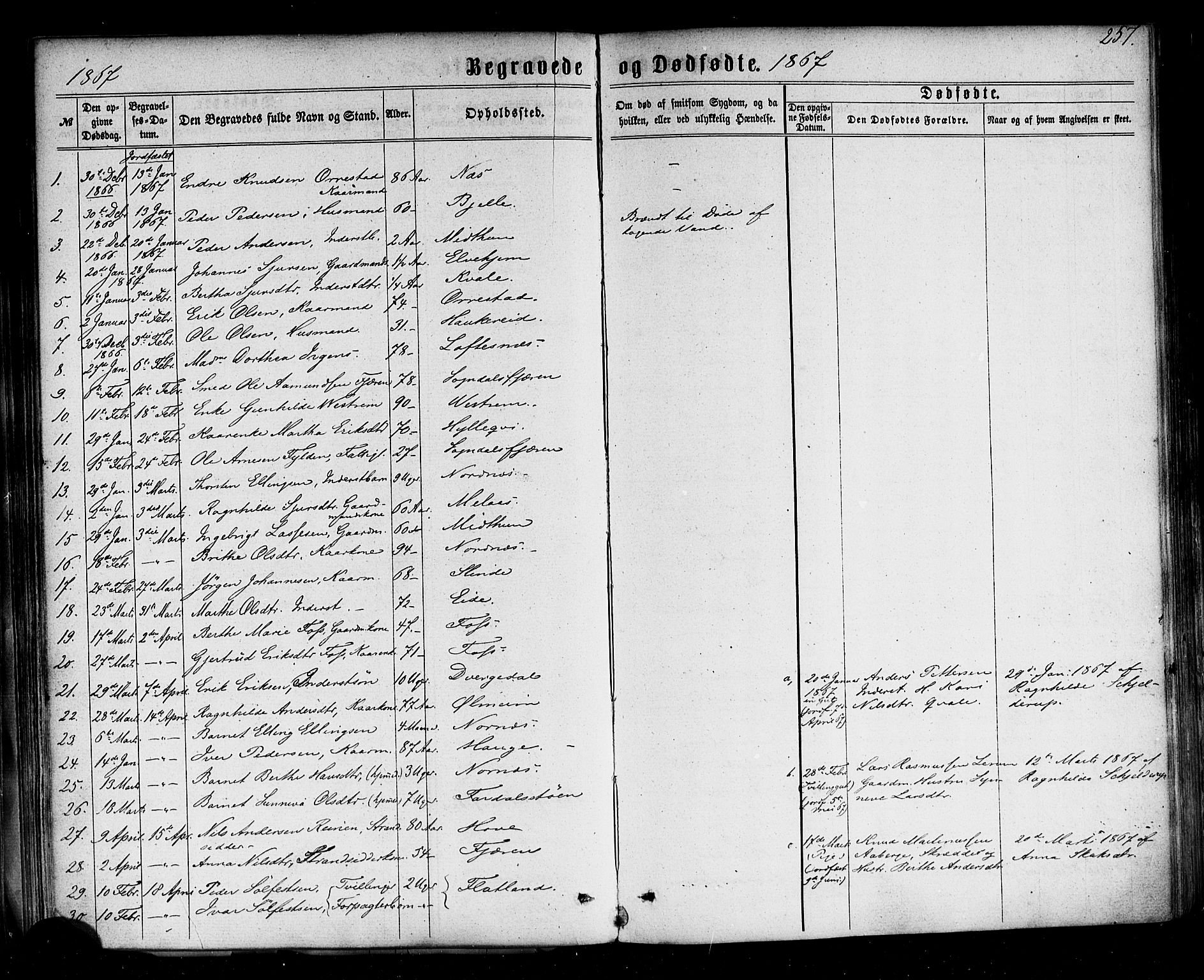 Sogndal sokneprestembete, AV/SAB-A-81301/H/Haa/Haaa/L0013: Parish register (official) no. A 13, 1859-1877, p. 257