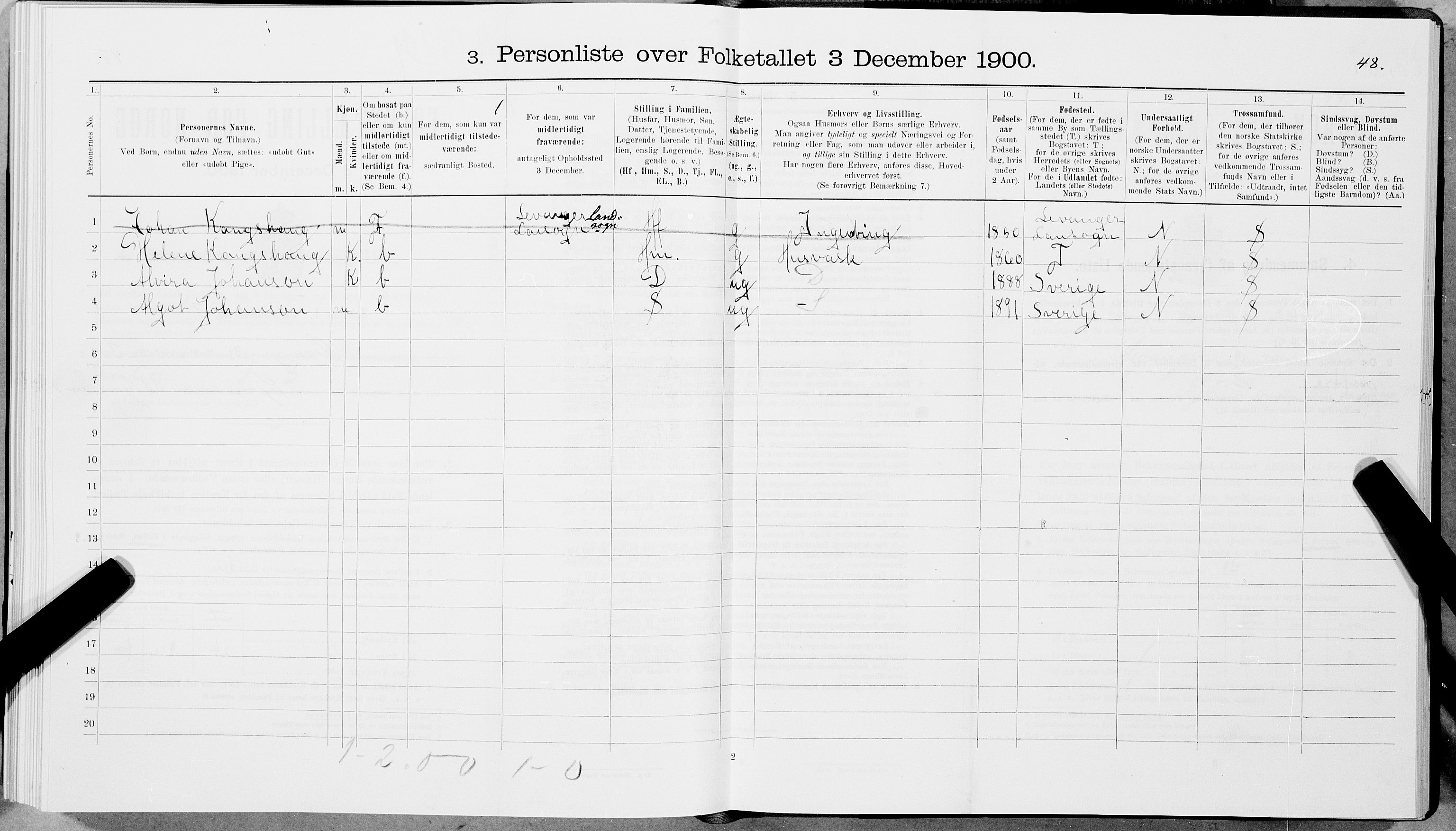 SAT, 1900 census for Levanger, 1900, p. 393