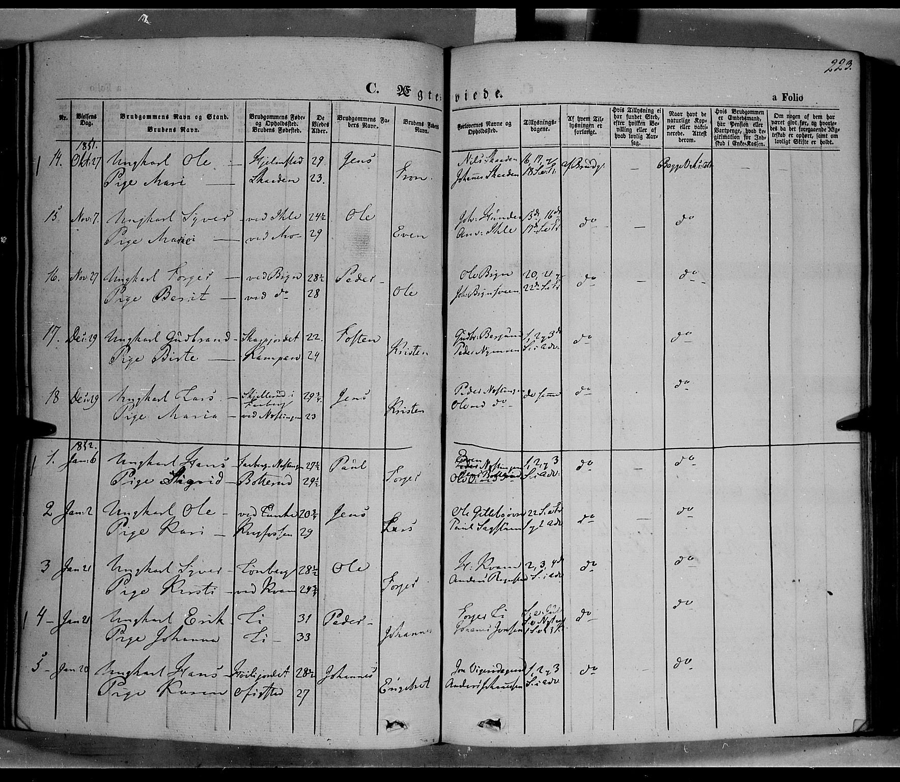 Øyer prestekontor, SAH/PREST-084/H/Ha/Haa/L0005: Parish register (official) no. 5, 1842-1857, p. 223