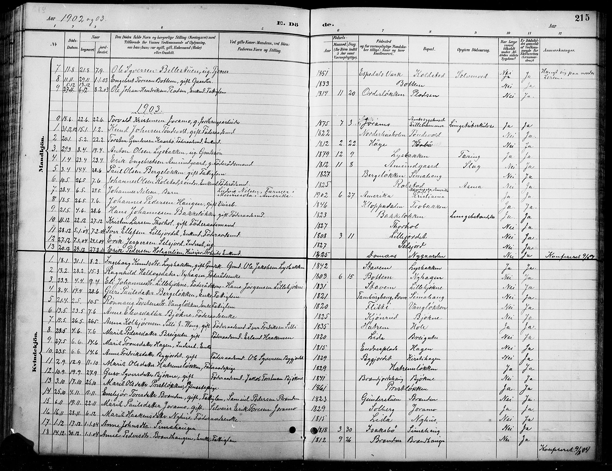 Lesja prestekontor, SAH/PREST-068/H/Ha/Hab/L0007: Parish register (copy) no. 7, 1895-1919, p. 215