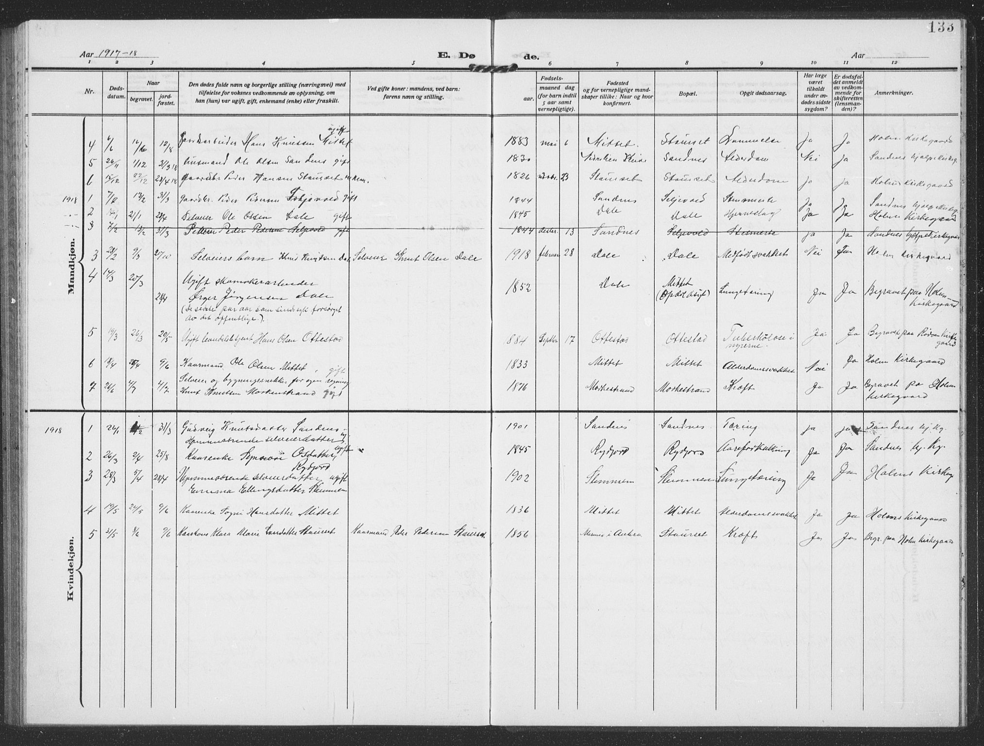 Ministerialprotokoller, klokkerbøker og fødselsregistre - Møre og Romsdal, AV/SAT-A-1454/549/L0615: Parish register (copy) no. 549C01, 1905-1932, p. 133