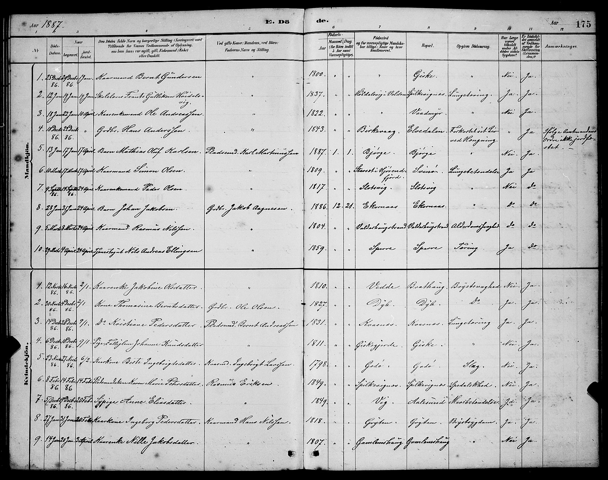 Ministerialprotokoller, klokkerbøker og fødselsregistre - Møre og Romsdal, SAT/A-1454/528/L0430: Parish register (copy) no. 528C11, 1884-1899, p. 175
