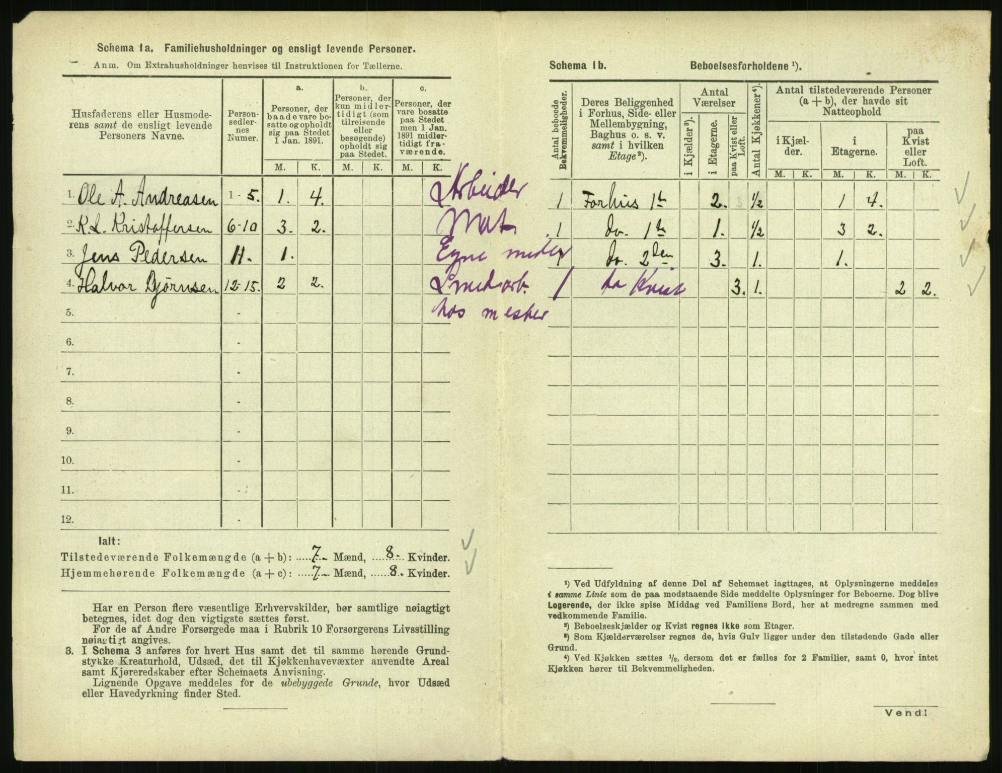 RA, 1891 census for 0801 Kragerø, 1891, p. 875