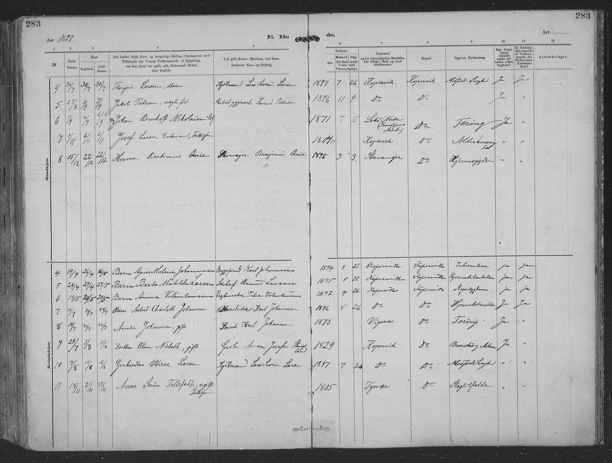 Kopervik sokneprestkontor, AV/SAST-A-101850/H/Ha/Haa/L0001: Parish register (official) no. A 1, 1880-1919, p. 283