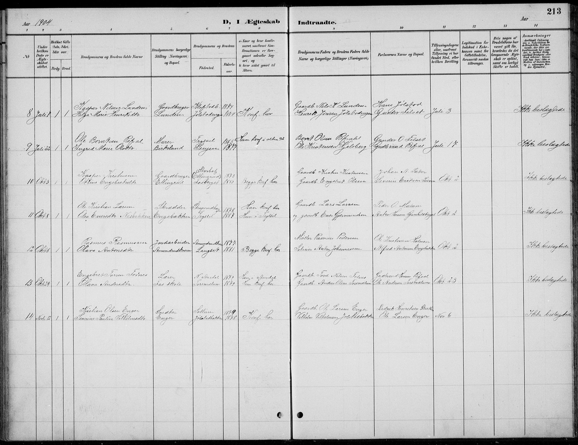 Romedal prestekontor, AV/SAH-PREST-004/L/L0013: Parish register (copy) no. 13, 1896-1937, p. 213