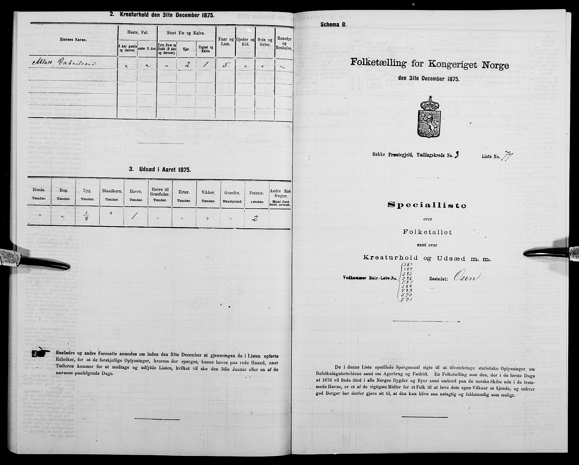 SAK, 1875 census for 1045P Bakke, 1875, p. 374