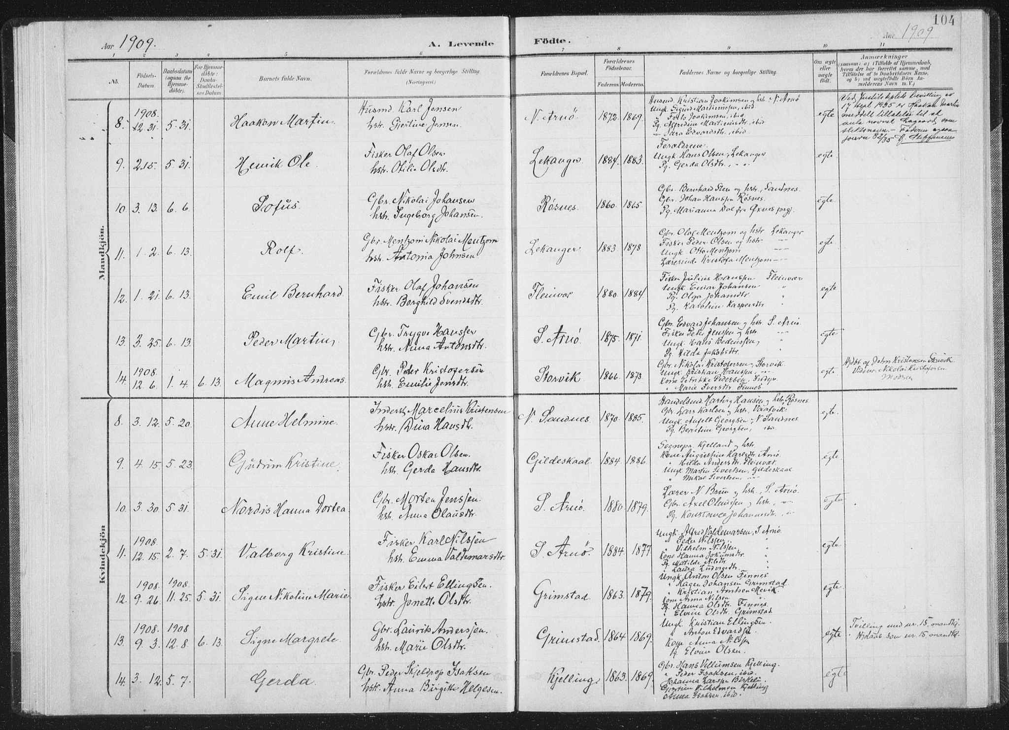 Ministerialprotokoller, klokkerbøker og fødselsregistre - Nordland, AV/SAT-A-1459/805/L0102: Parish register (official) no. 805A08I, 1900-1909, p. 104