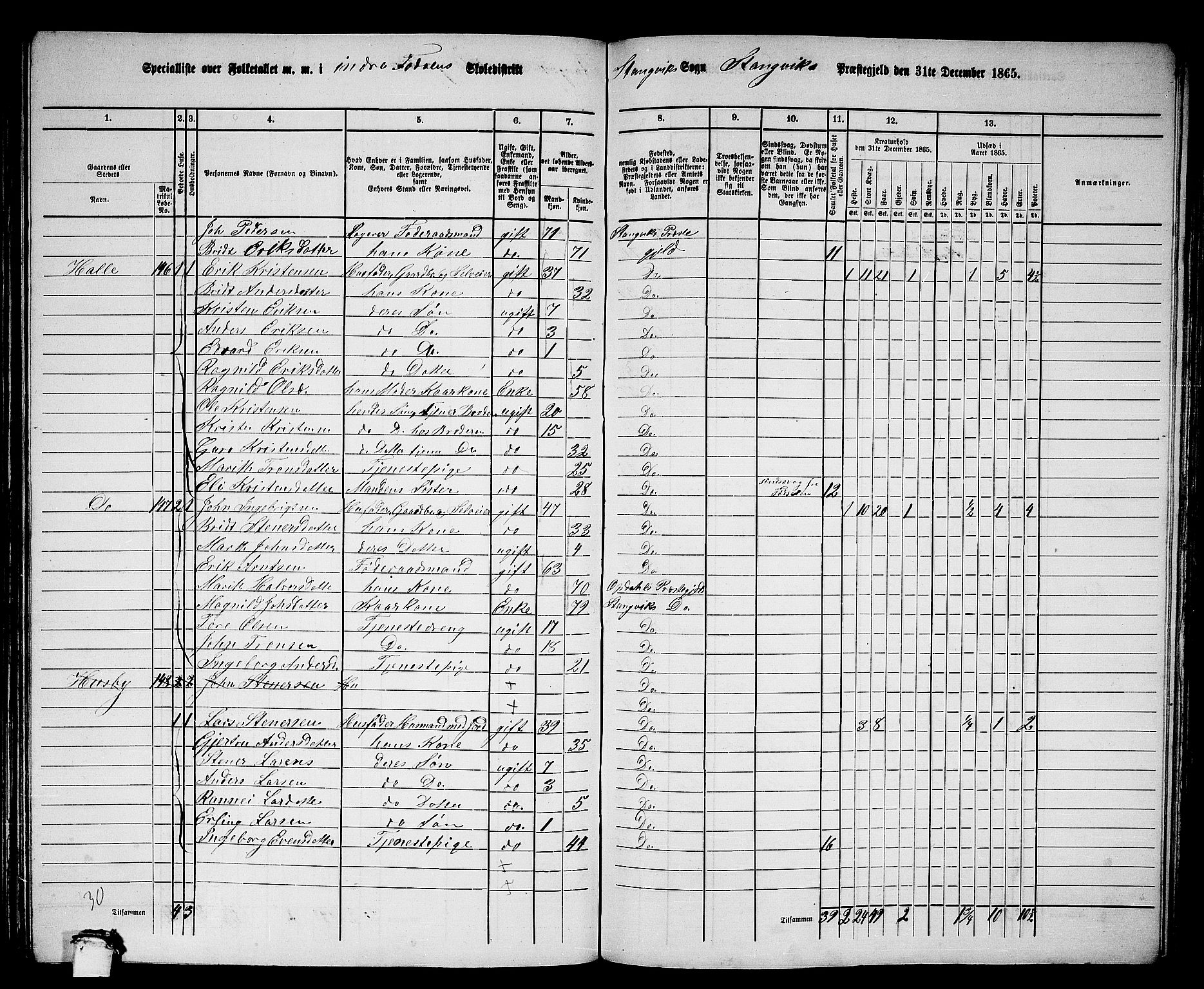 RA, 1865 census for Stangvik, 1865, p. 114