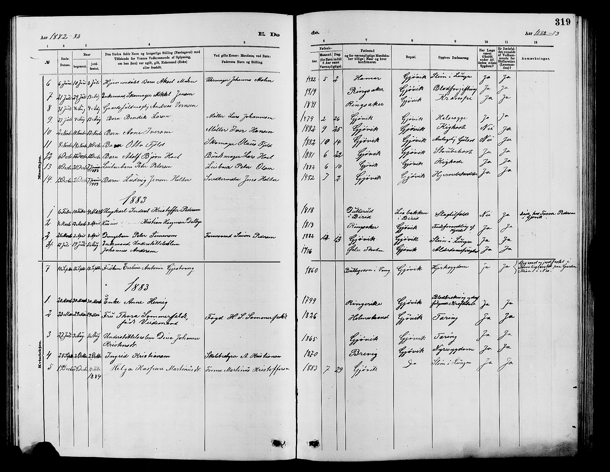 Vardal prestekontor, SAH/PREST-100/H/Ha/Hab/L0007: Parish register (copy) no. 7 /2, 1881-1895, p. 319