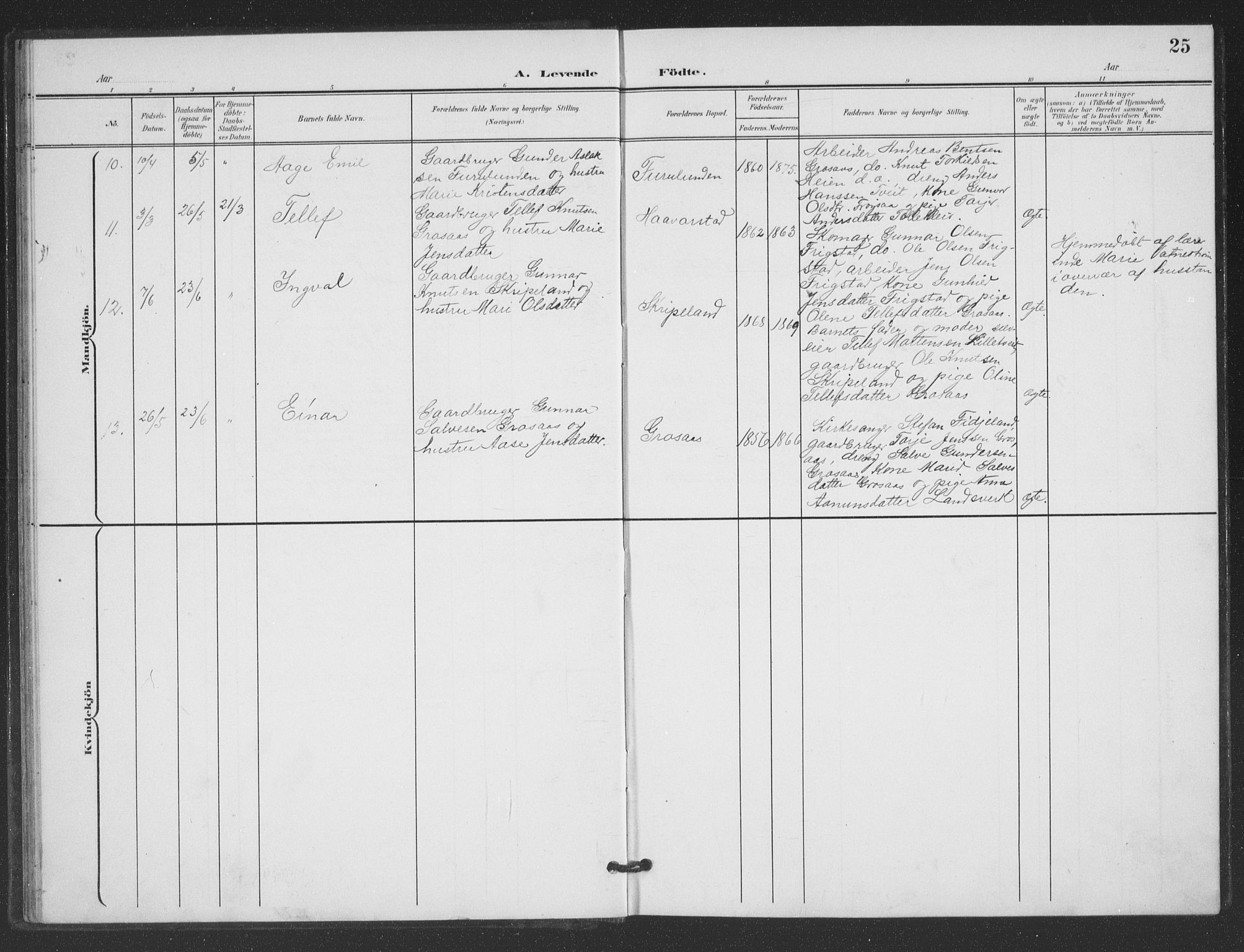 Evje sokneprestkontor, AV/SAK-1111-0008/F/Fb/Fbc/L0005: Parish register (copy) no. B 5, 1901-1935, p. 25