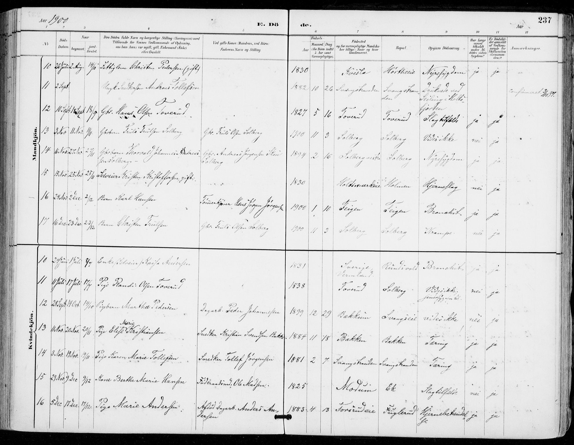 Sylling kirkebøker, AV/SAKO-A-247/F/Fa/L0001: Parish register (official) no. 1, 1883-1910, p. 237