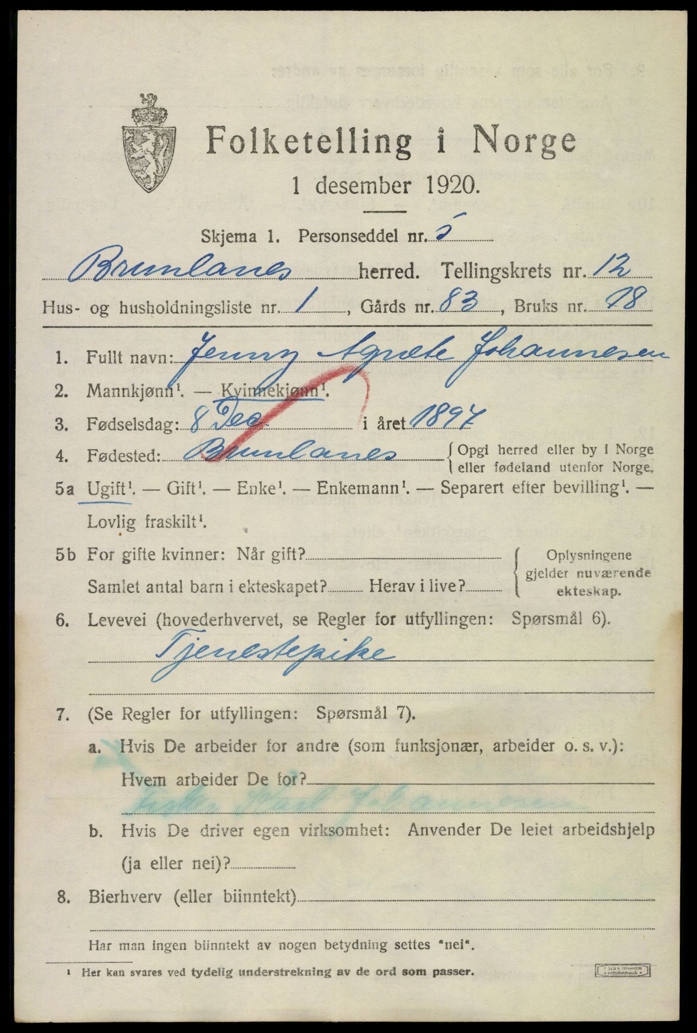 SAKO, 1920 census for Brunlanes, 1920, p. 10511
