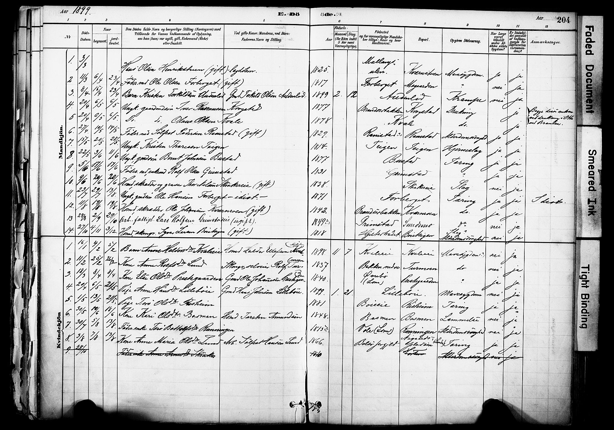 Skjåk prestekontor, SAH/PREST-072/H/Ha/Haa/L0003: Parish register (official) no. 3, 1880-1907, p. 204