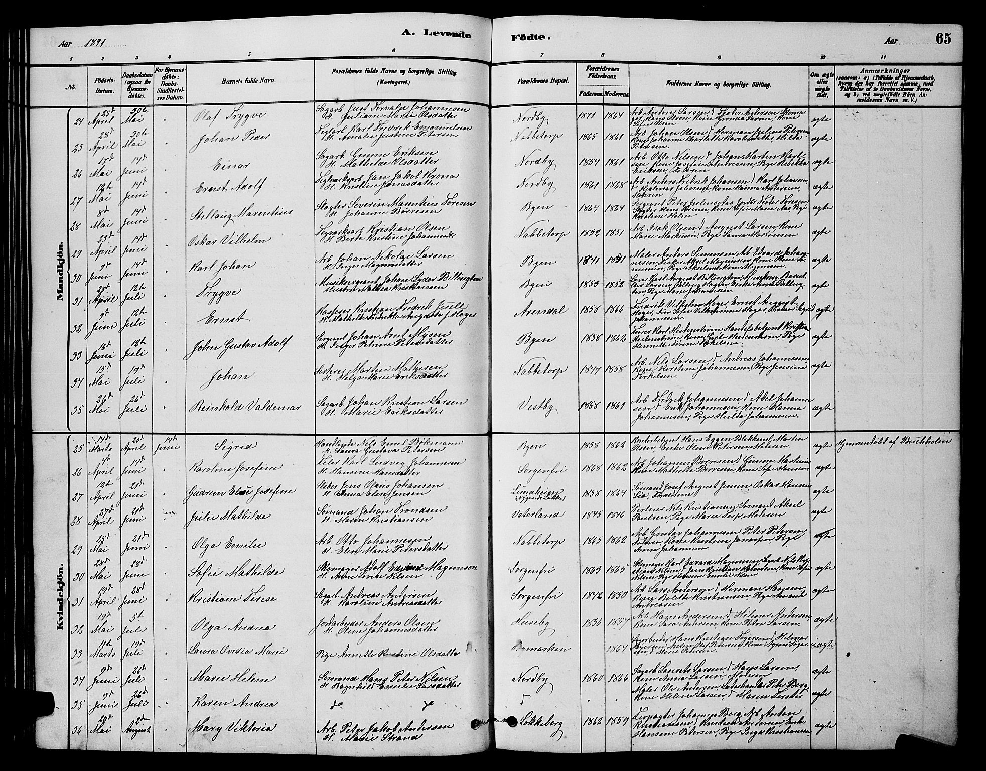 Østre Fredrikstad prestekontor Kirkebøker, SAO/A-10907/G/Ga/L0001: Parish register (copy) no. 1, 1880-1899, p. 65