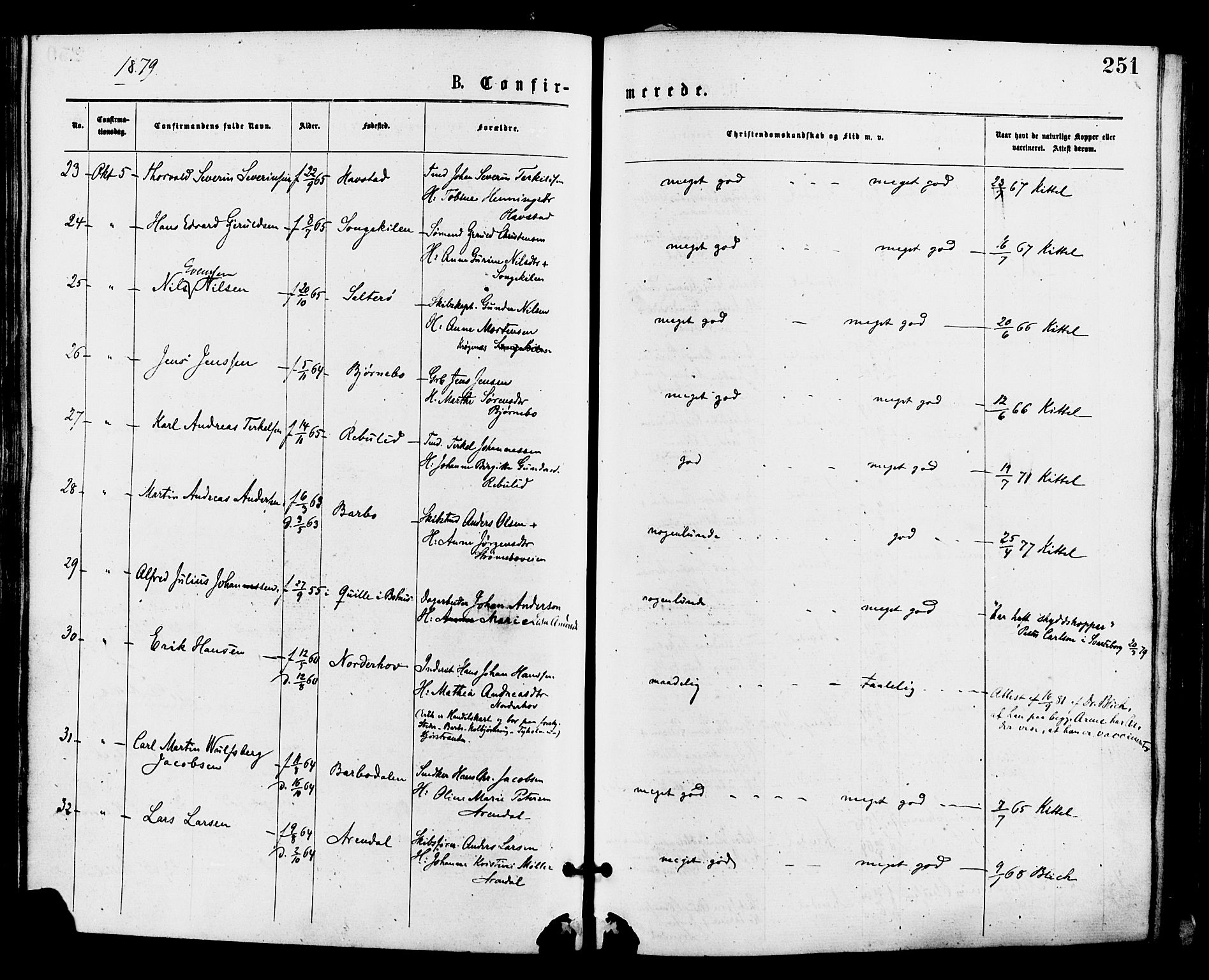 Barbu sokneprestkontor, AV/SAK-1111-0003/F/Fa/L0001: Parish register (official) no. A 1 /1, 1878-1883, p. 251