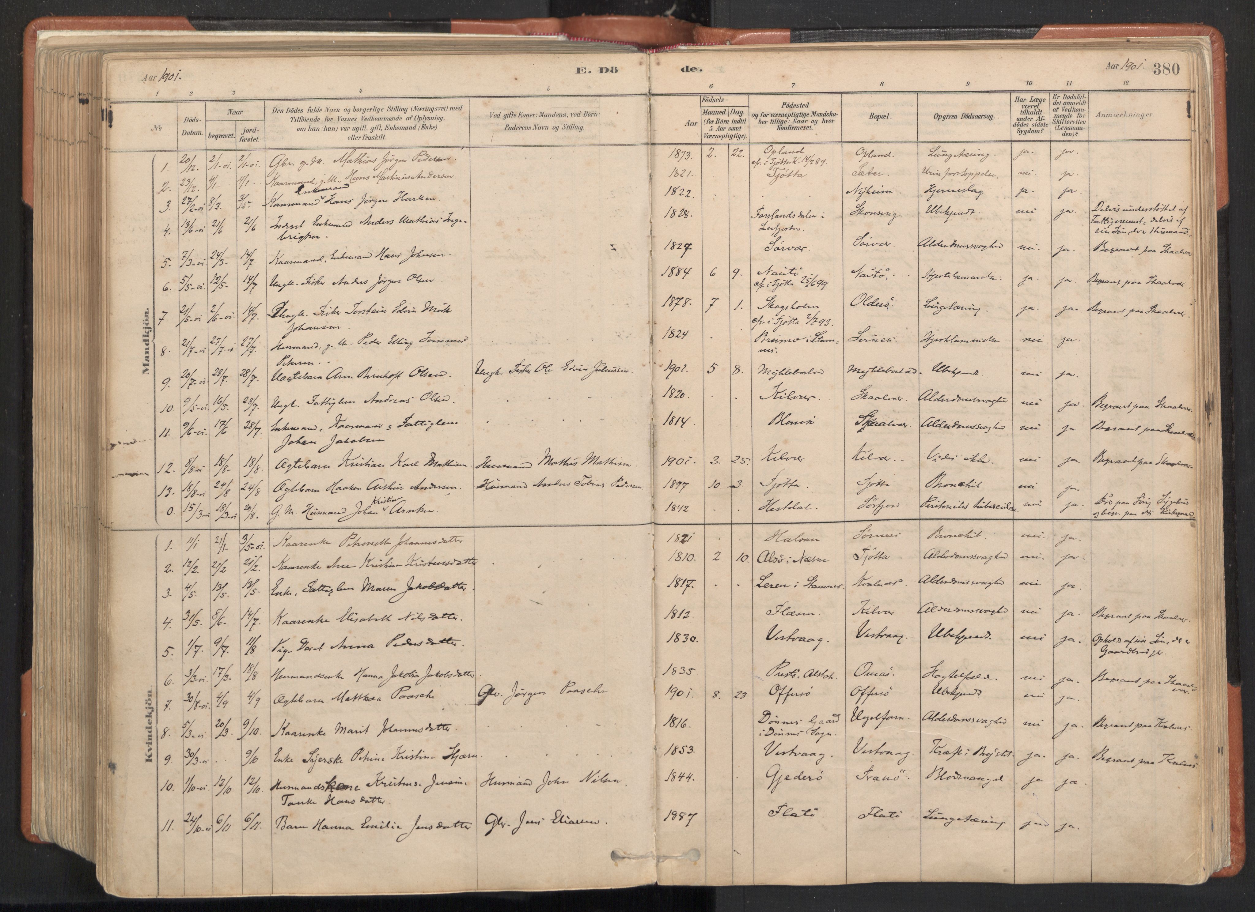 Ministerialprotokoller, klokkerbøker og fødselsregistre - Nordland, SAT/A-1459/817/L0264: Parish register (official) no. 817A04, 1878-1907, p. 380