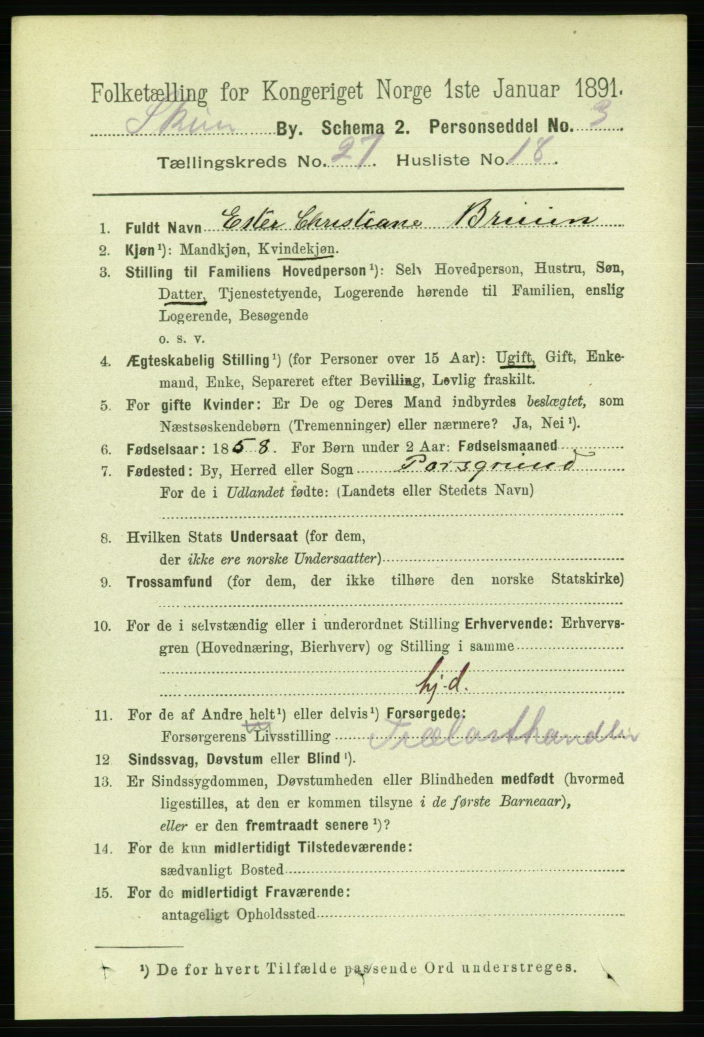 RA, 1891 census for 0806 Skien, 1891, p. 6490