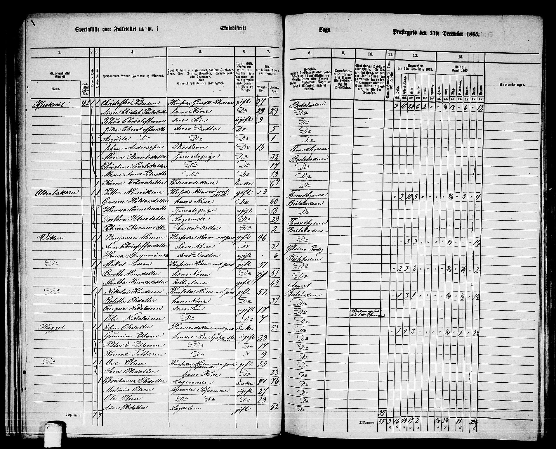 RA, 1865 census for Beitstad, 1865, p. 32