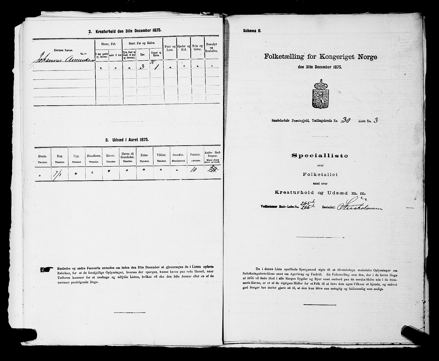 SAKO, 1875 census for 0816P Sannidal, 1875, p. 2265