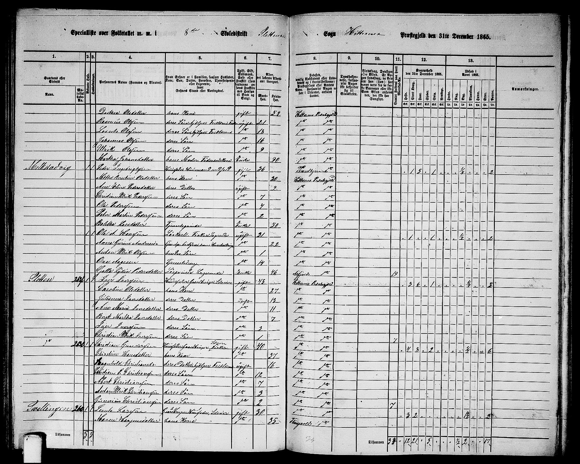 RA, 1865 census for Hitra, 1865, p. 201