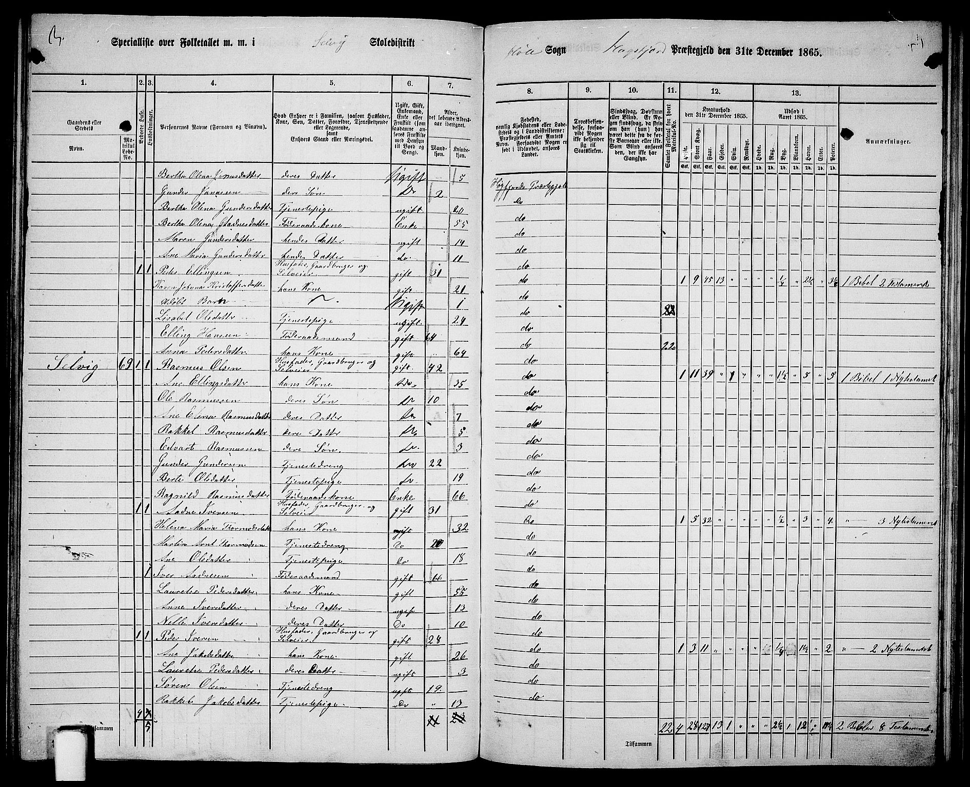 RA, 1865 census for Høgsfjord, 1865, p. 100