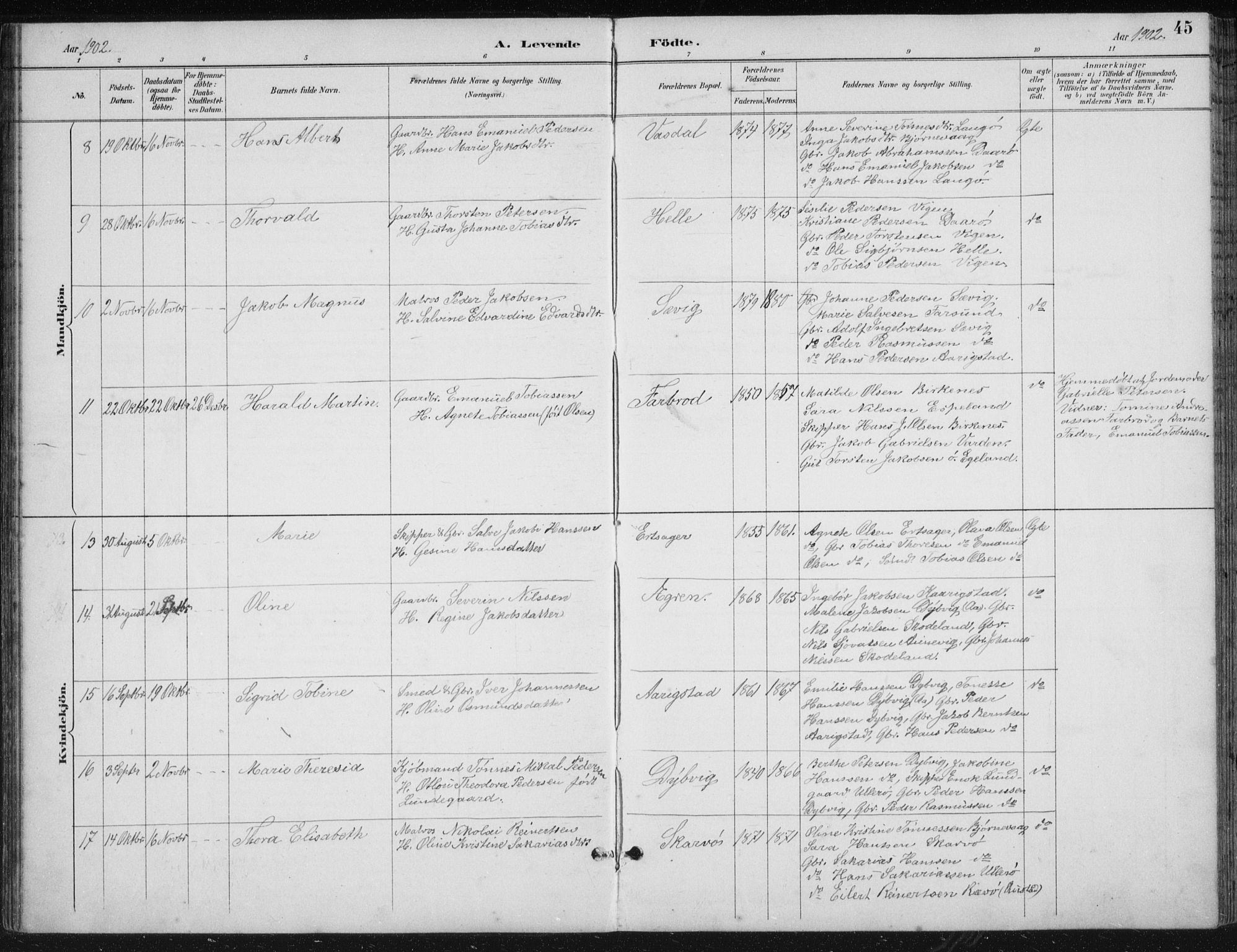 Herad sokneprestkontor, AV/SAK-1111-0018/F/Fb/Fbb/L0004: Parish register (copy) no. B 4, 1890-1935, p. 45