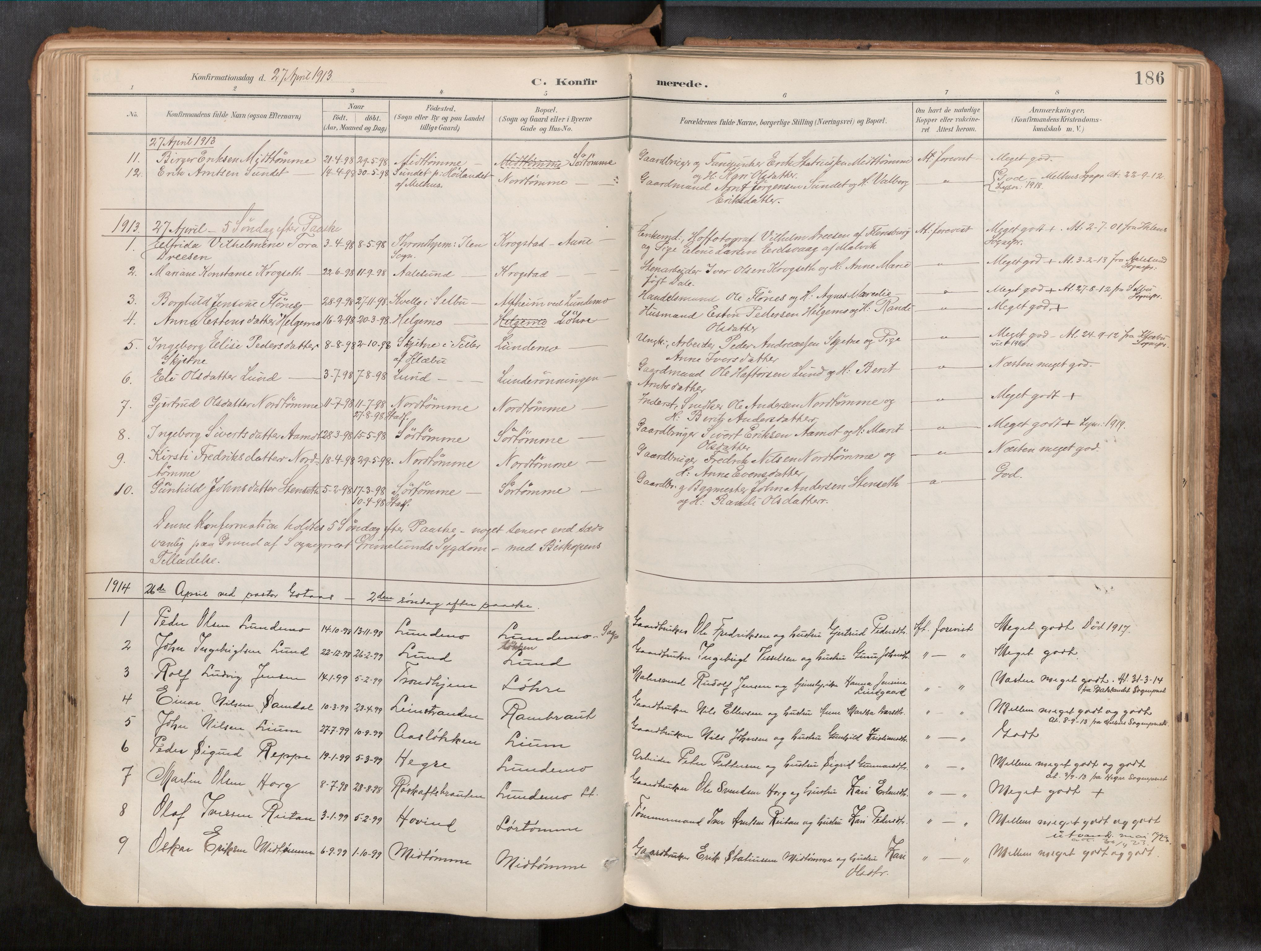 Ministerialprotokoller, klokkerbøker og fødselsregistre - Sør-Trøndelag, SAT/A-1456/692/L1105b: Parish register (official) no. 692A06, 1891-1934, p. 186