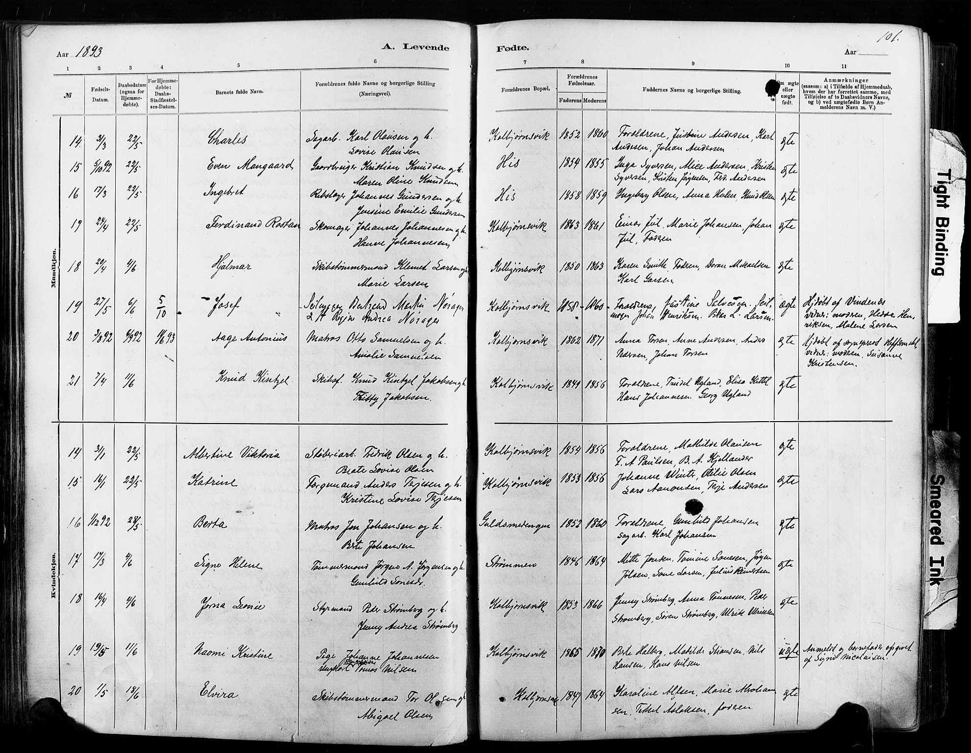 Hisøy sokneprestkontor, AV/SAK-1111-0020/F/Fa/L0003: Parish register (official) no. A 3, 1881-1894, p. 101