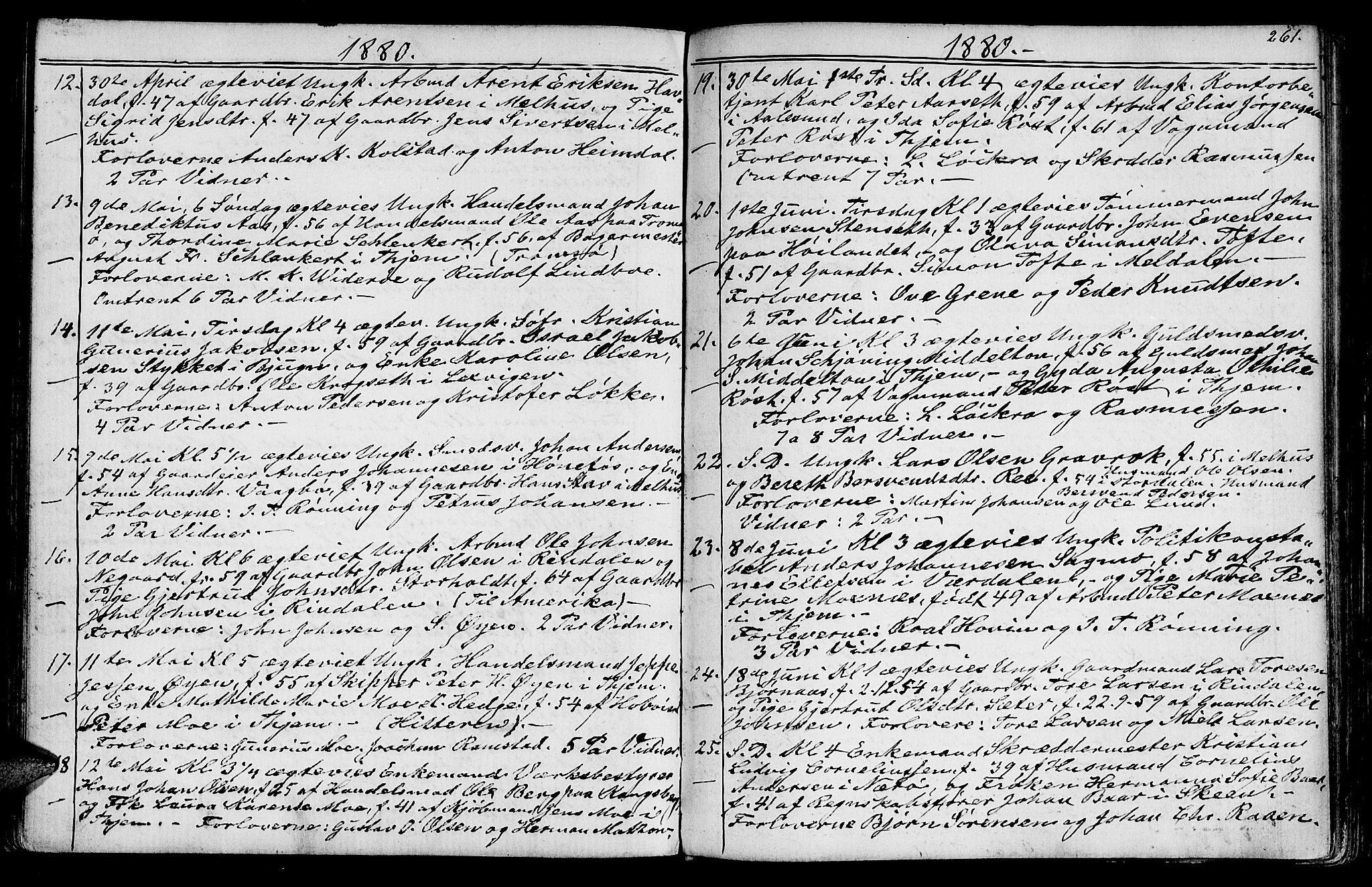 Ministerialprotokoller, klokkerbøker og fødselsregistre - Sør-Trøndelag, SAT/A-1456/602/L0142: Parish register (copy) no. 602C10, 1872-1894, p. 261